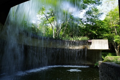 A small waterfall in the middle of a forest