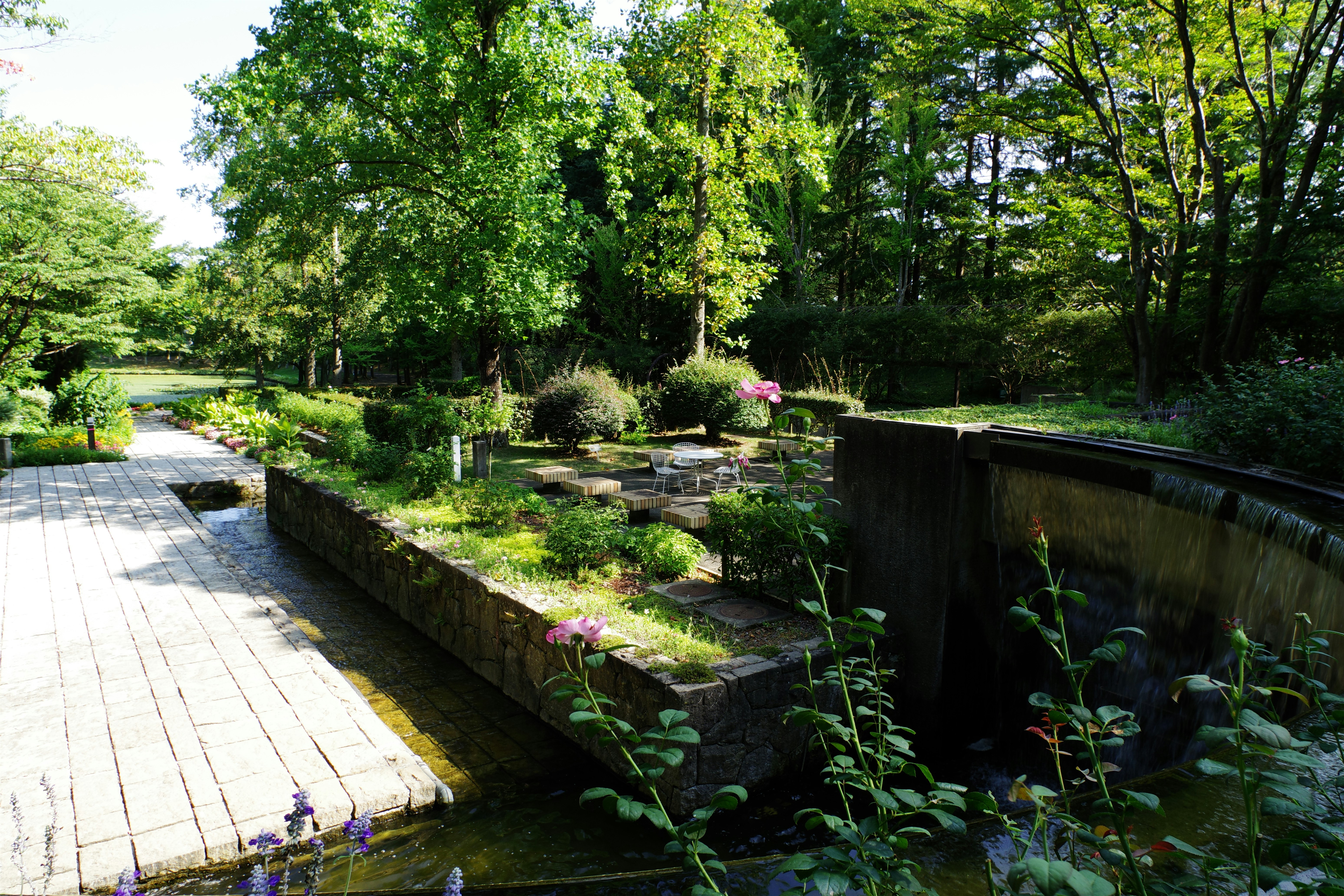 小川にかかる木の橋 公園内の小川に架かる木製の橋の写真 – Unsplashの森の無料画像