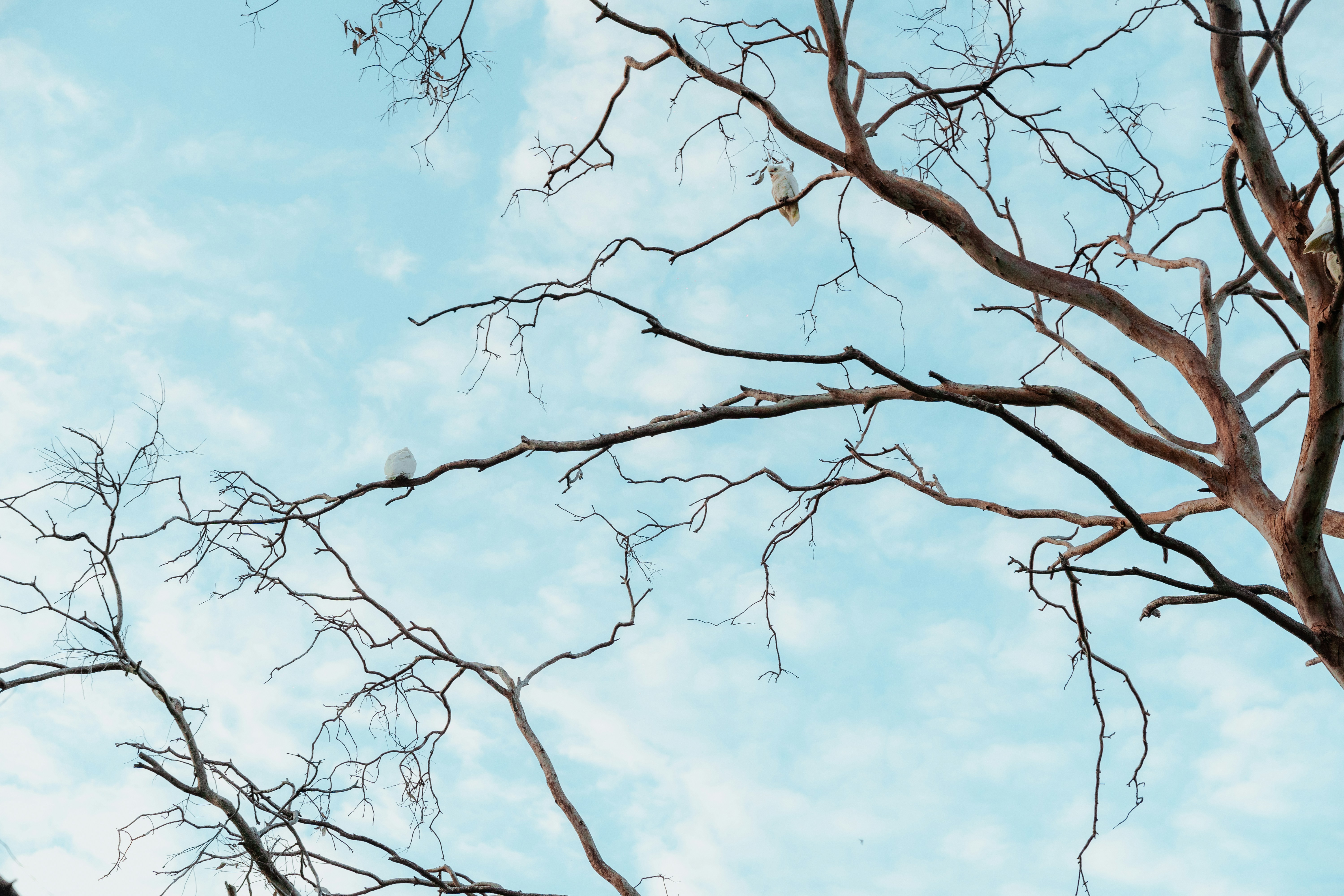 Photo by daniele71043