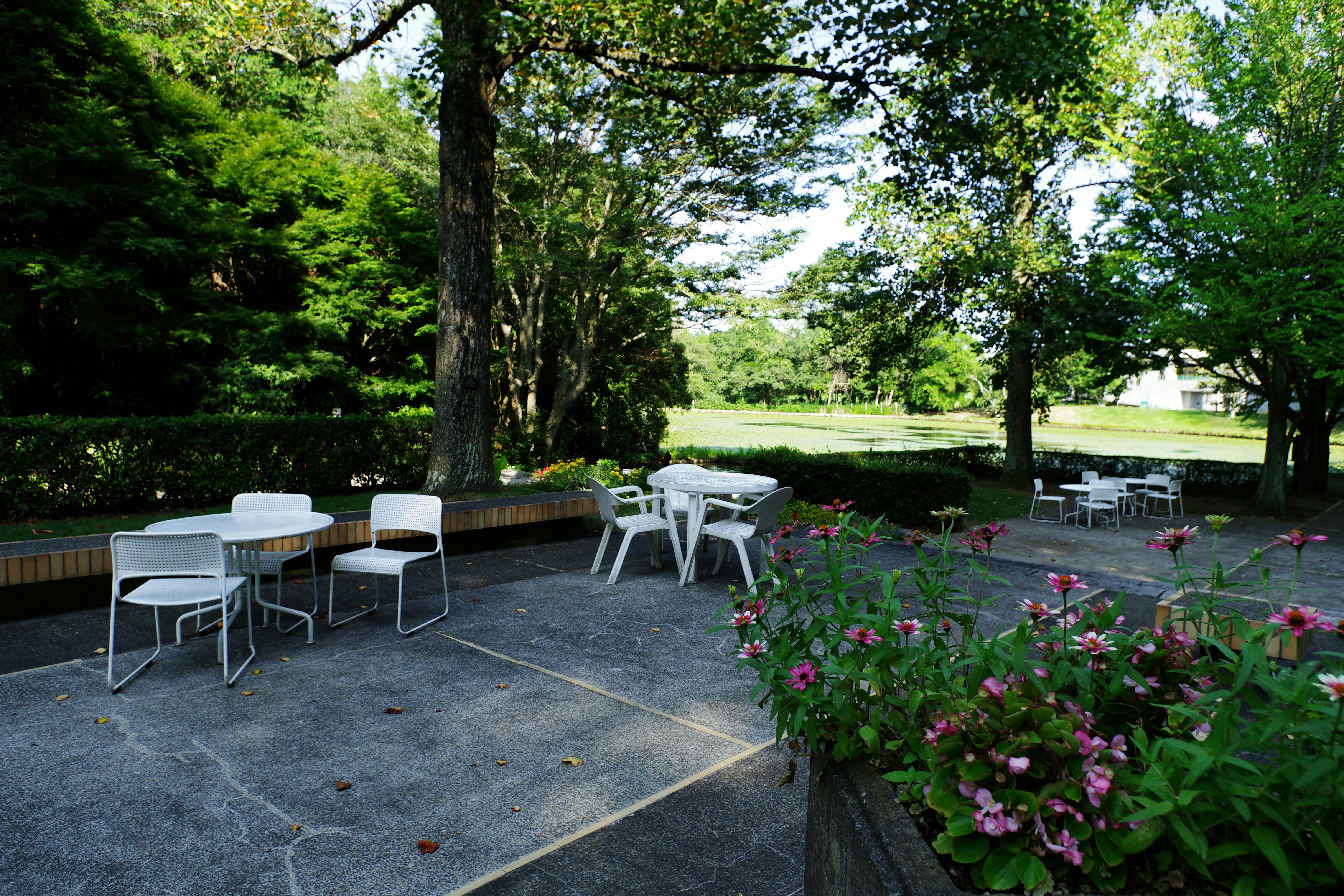 A beautifully renovated backyard with a patio, seating, and lush greenery - backyard renovation projects