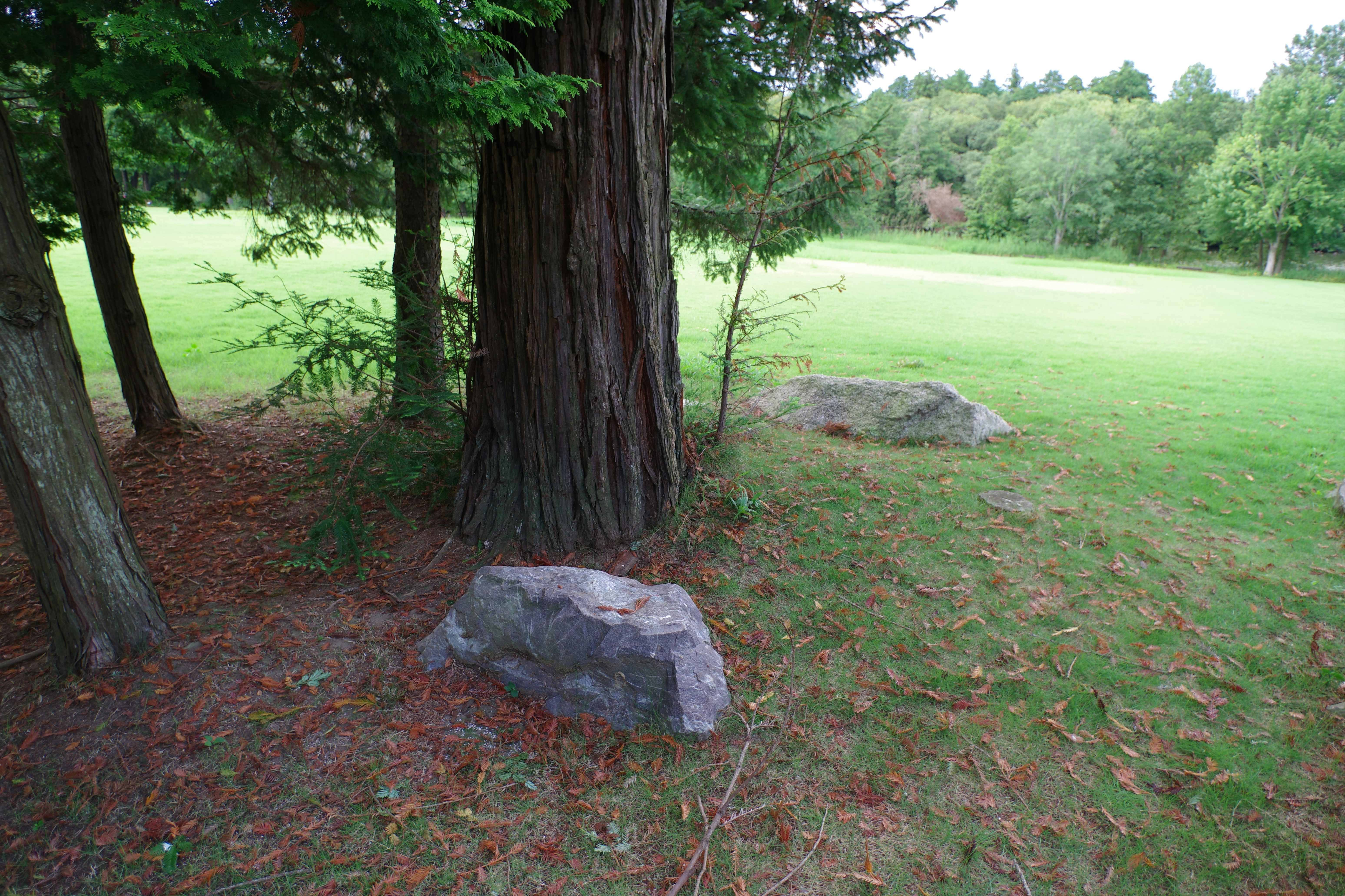 Flintrock Park