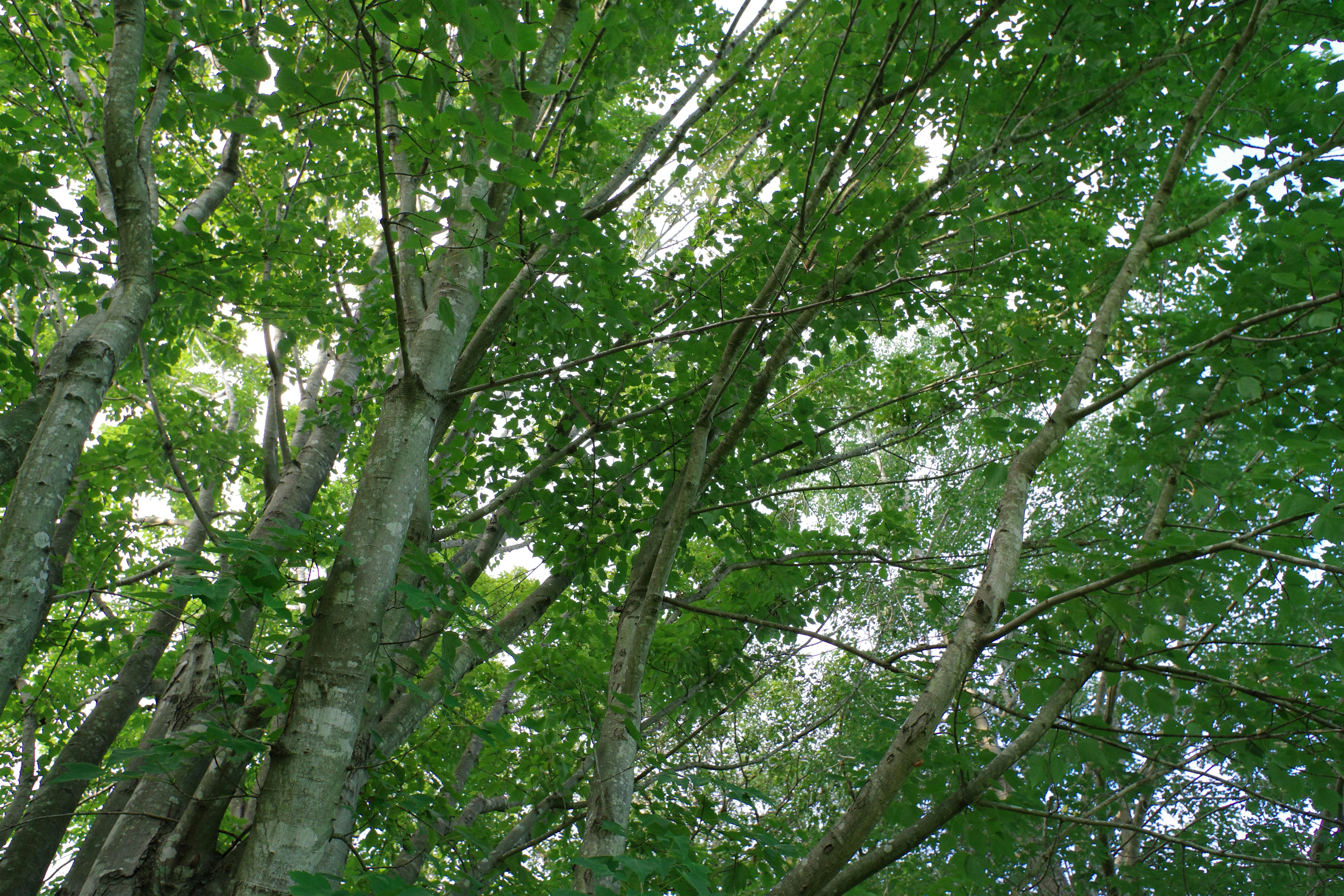 photo-1723209249144-1ef9fddefec1?ixlib=rb-4.0.3