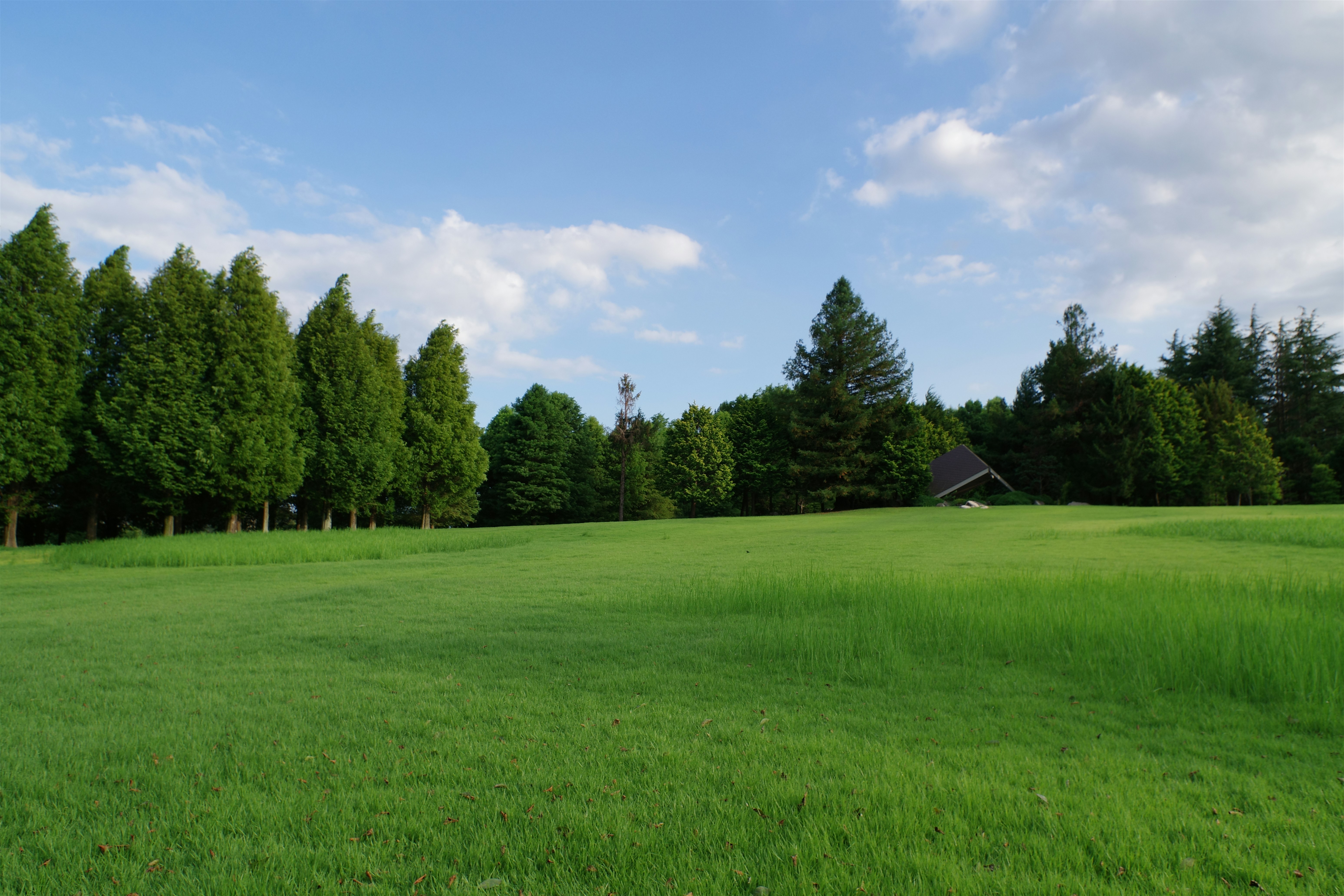 Beautiful green and flower garden、新緑と美しい花が織りなす絶景 A superb view of fresh greenery and beautiful flowers