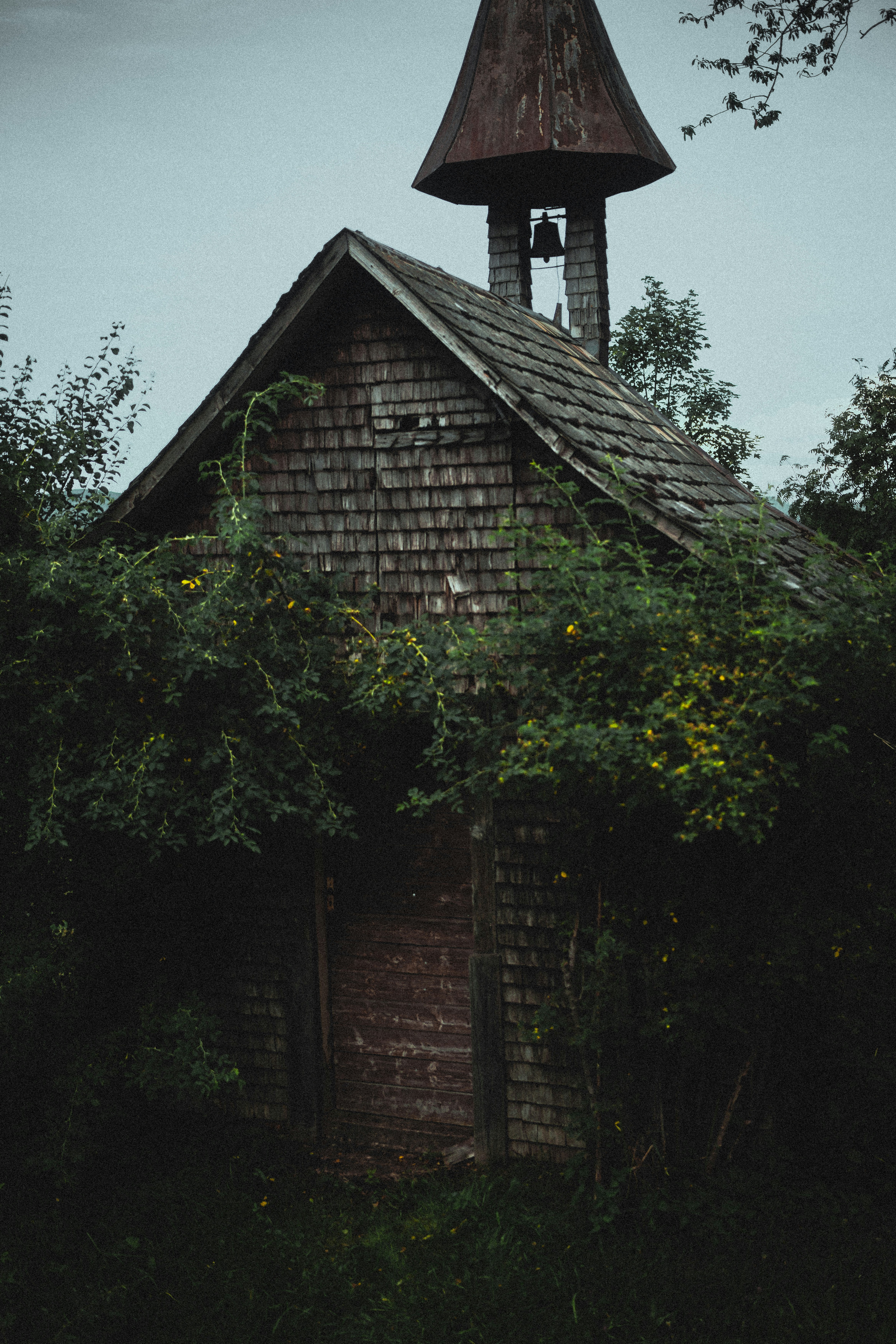 Photo by alexisnthere_