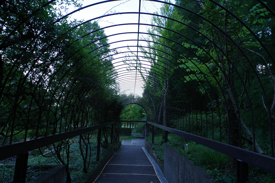 The image depicts a serene garden scene with a metal archway constructed from black iron, supported by sturdy concrete pillars and adorned with lush green trees on either side. The archway is situated within a well-maintained garden setting, featuring a variety of plants and flowers in full bloom. A path winds through the garden, inviting visitors to explore its beauty.