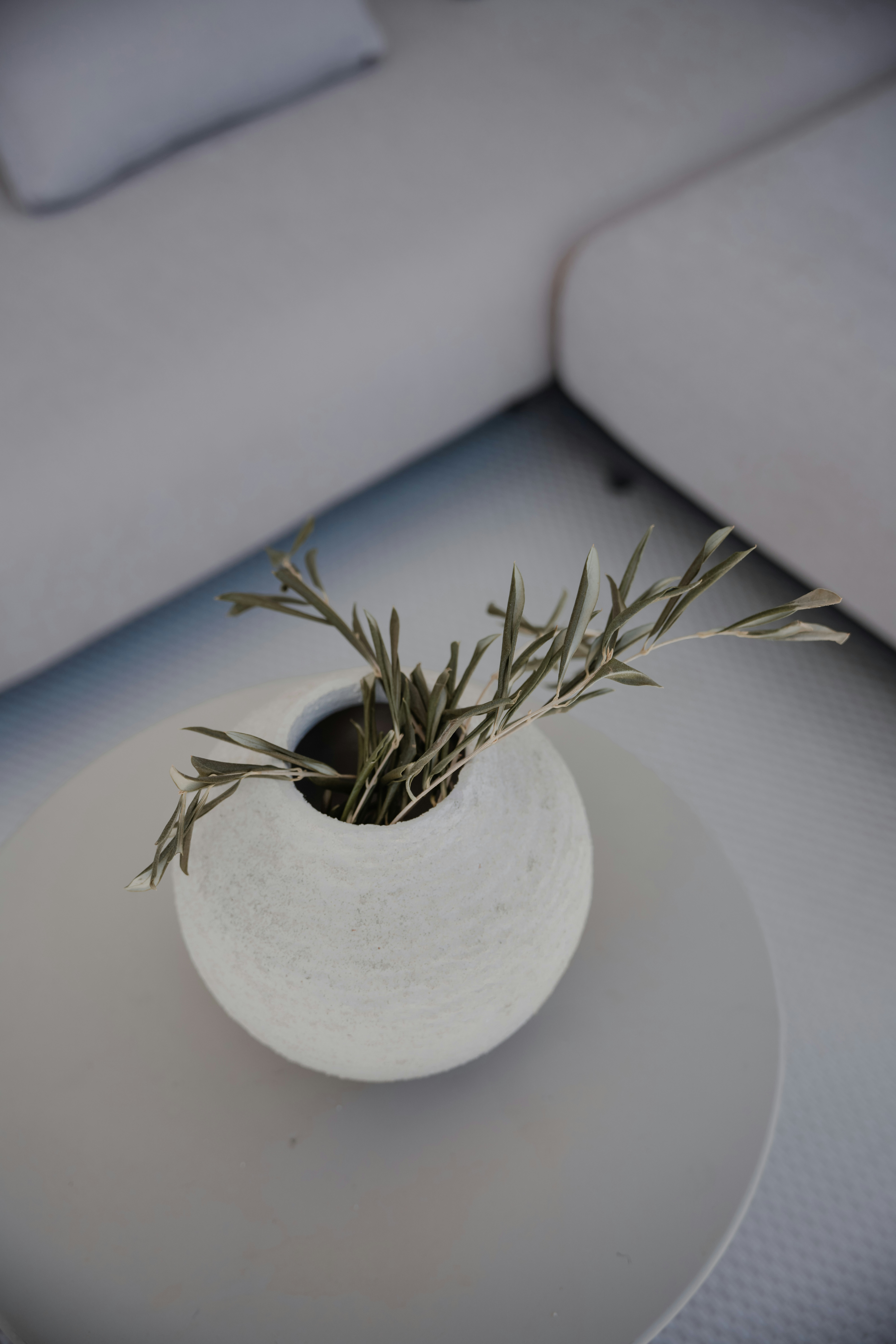 A plant in a white vase on a white table