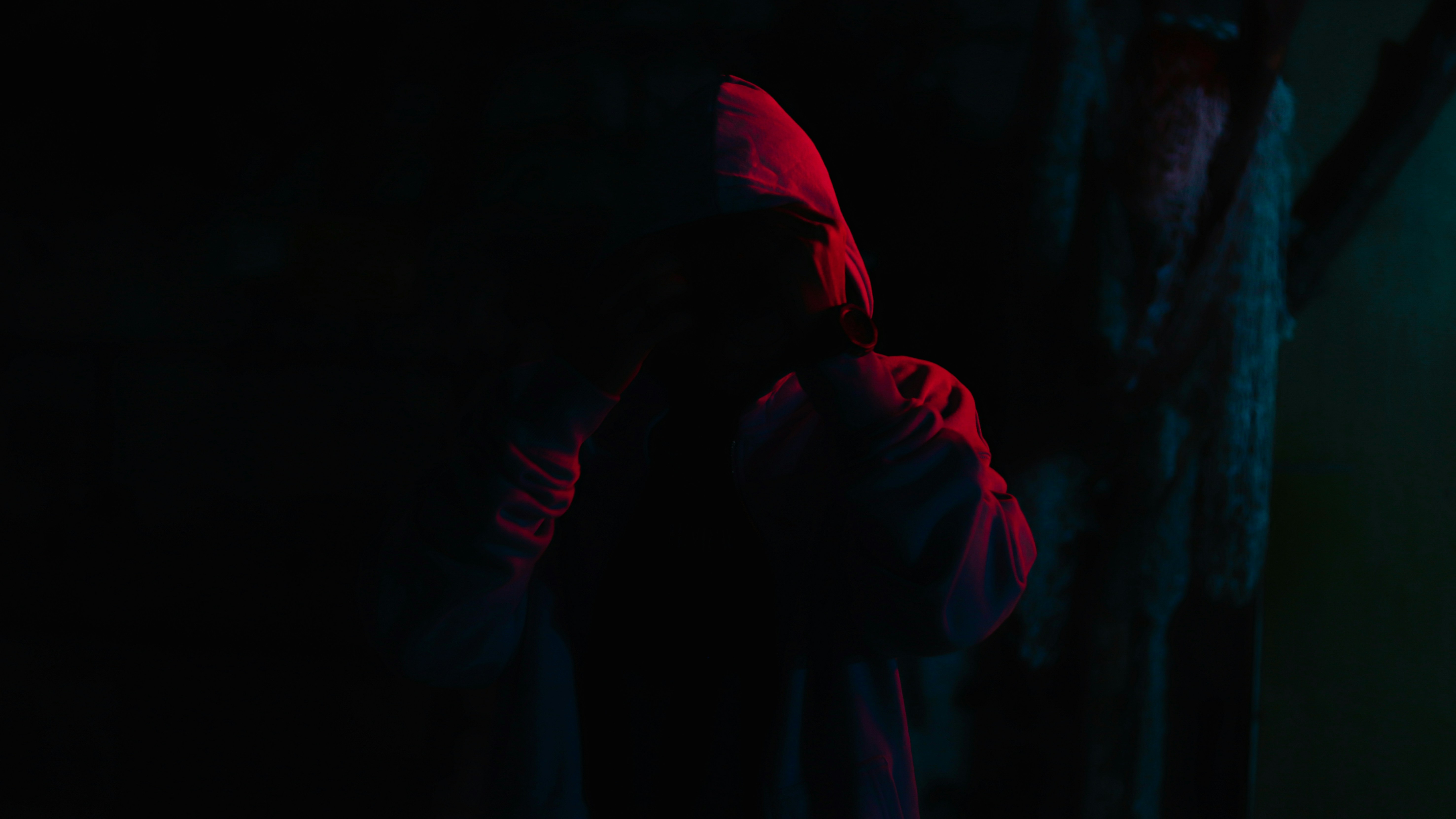 Photo by alireza_hashemi