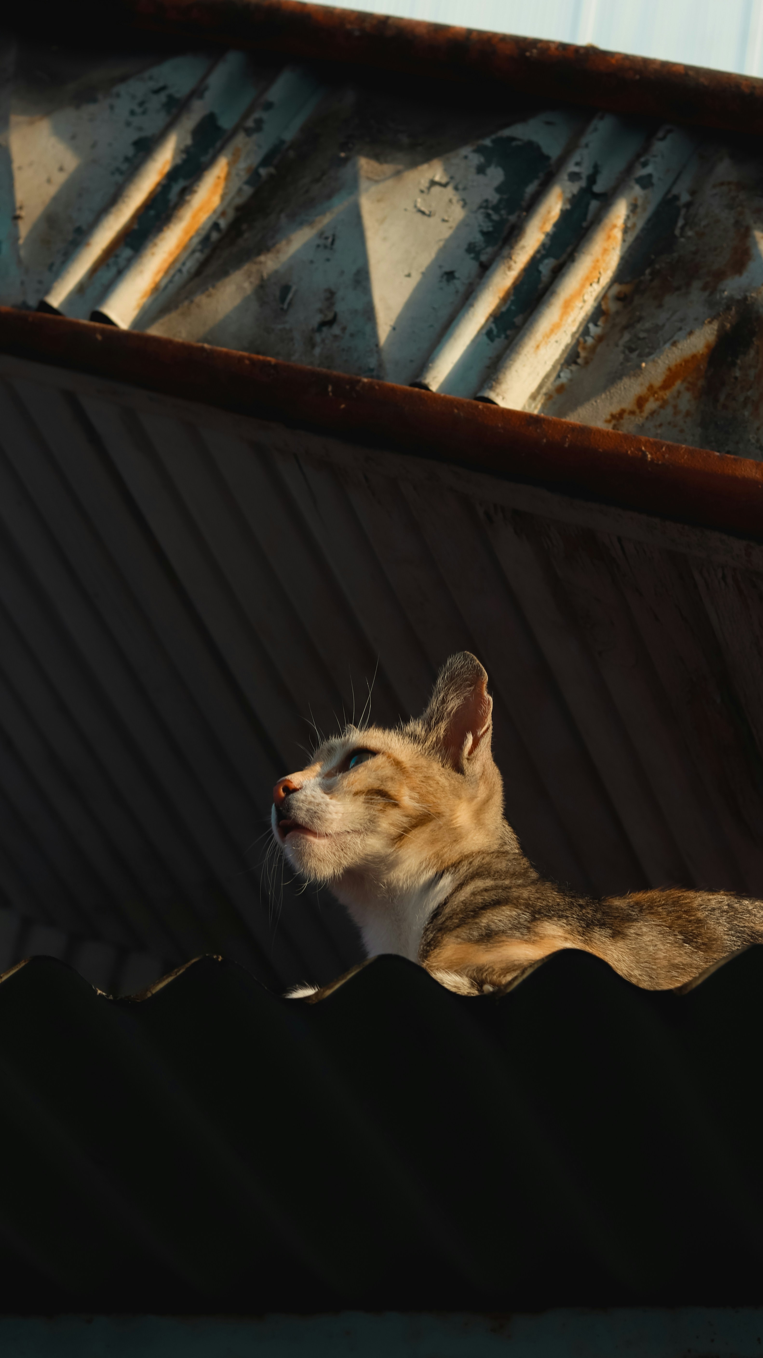 Photo by alireza_hashemi