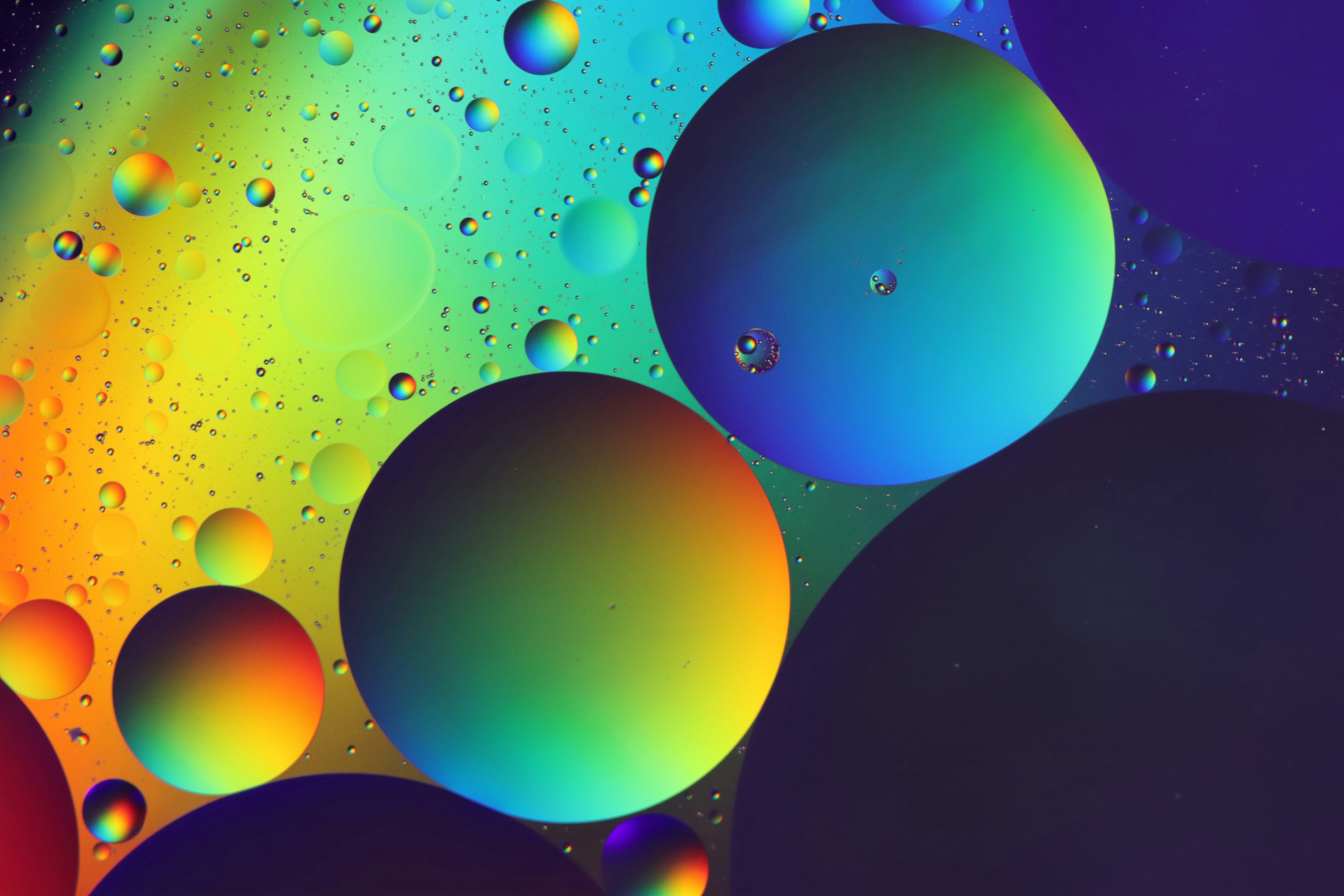 Photo by mirjana_s_buturac