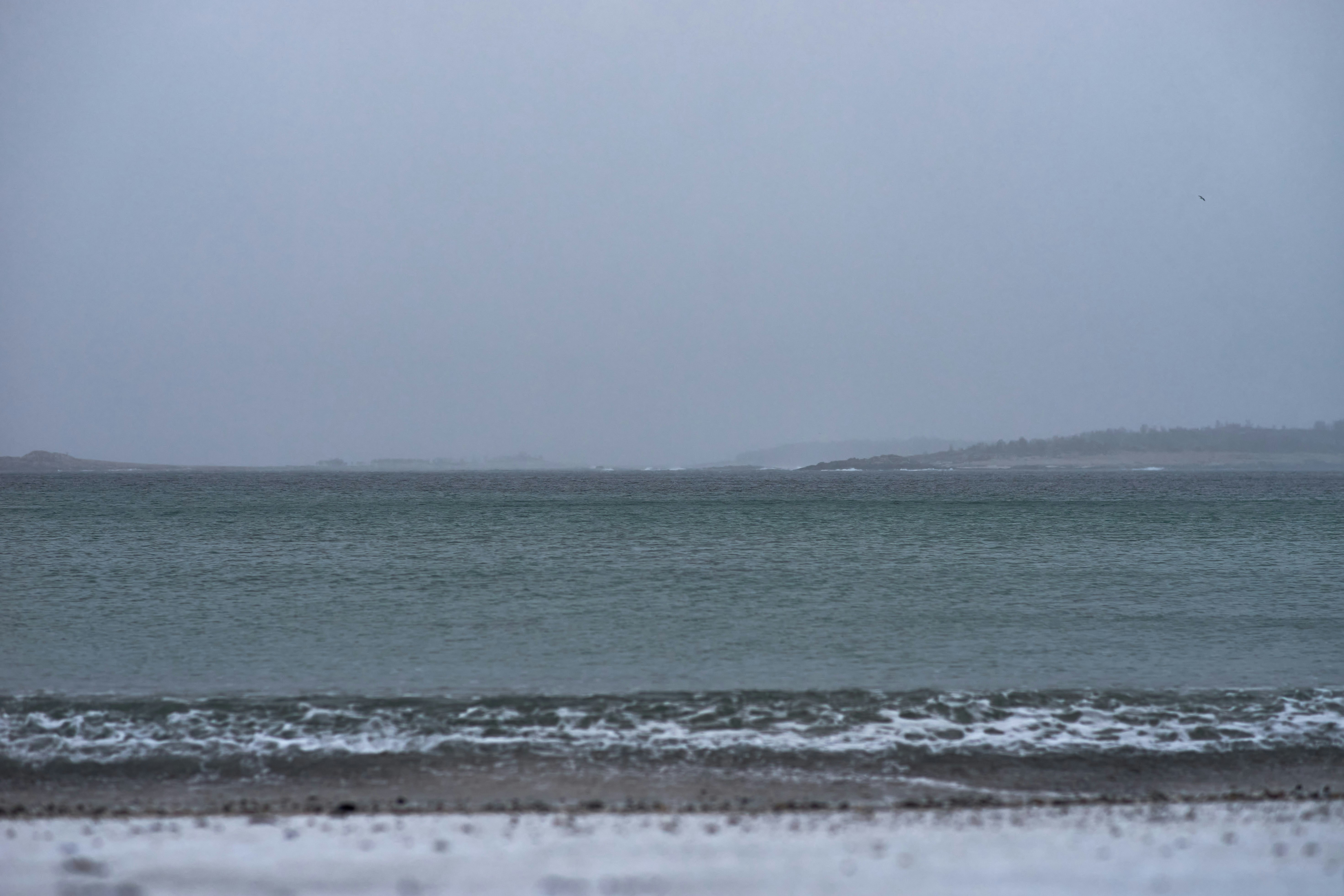 Photo by wolfgang_hasselmann