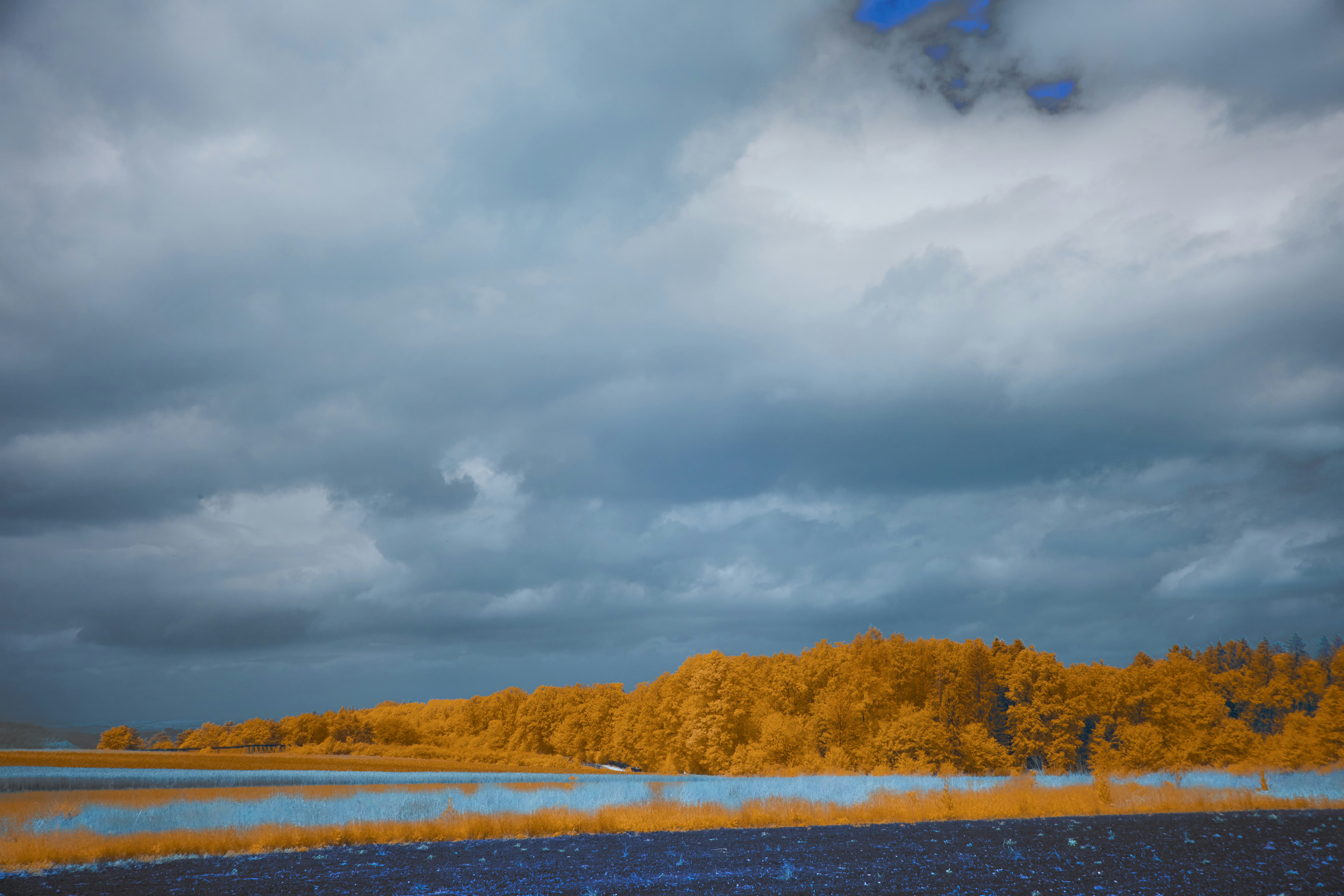 Photo by wolfgang_hasselmann