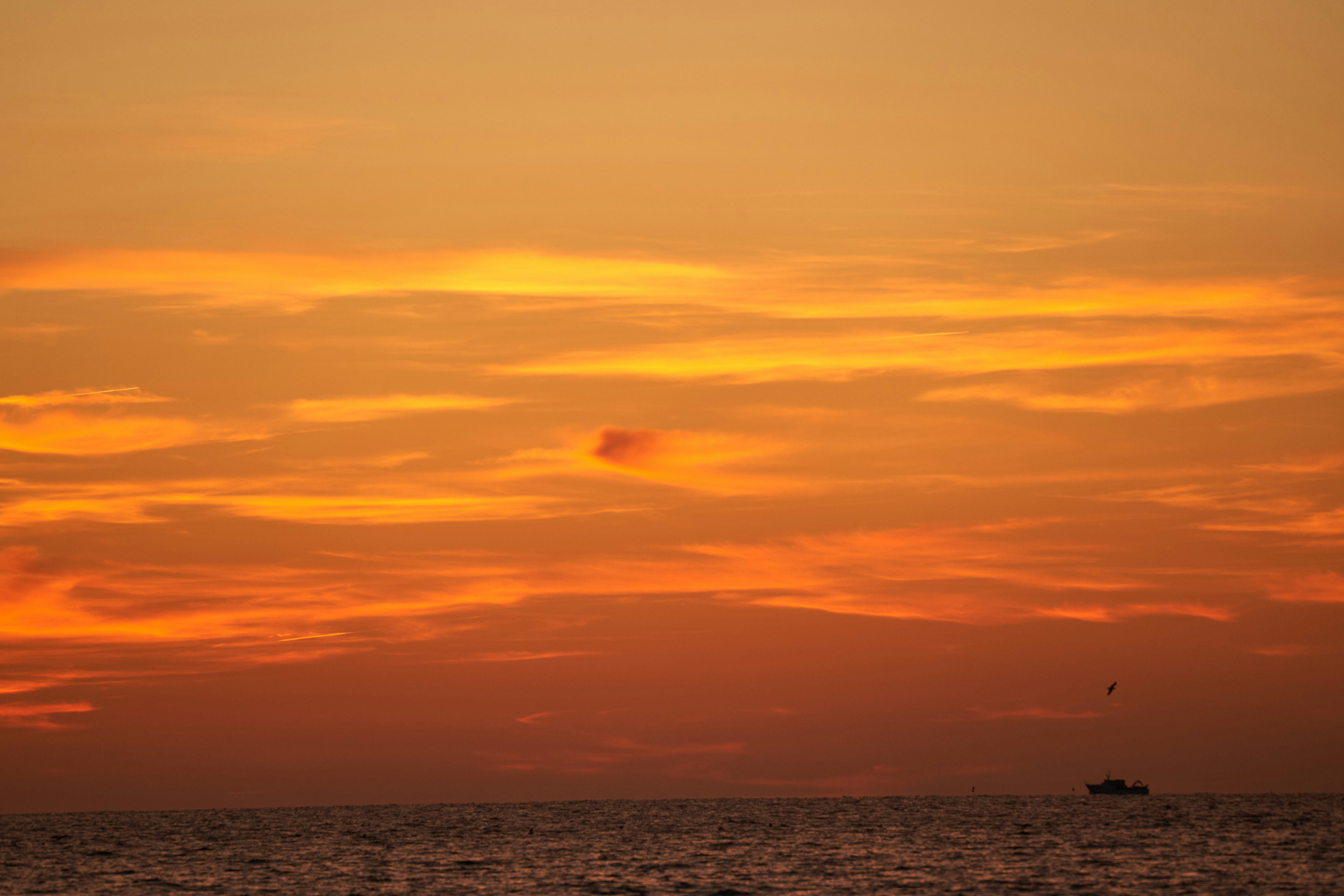 Photo by wolfgang_hasselmann