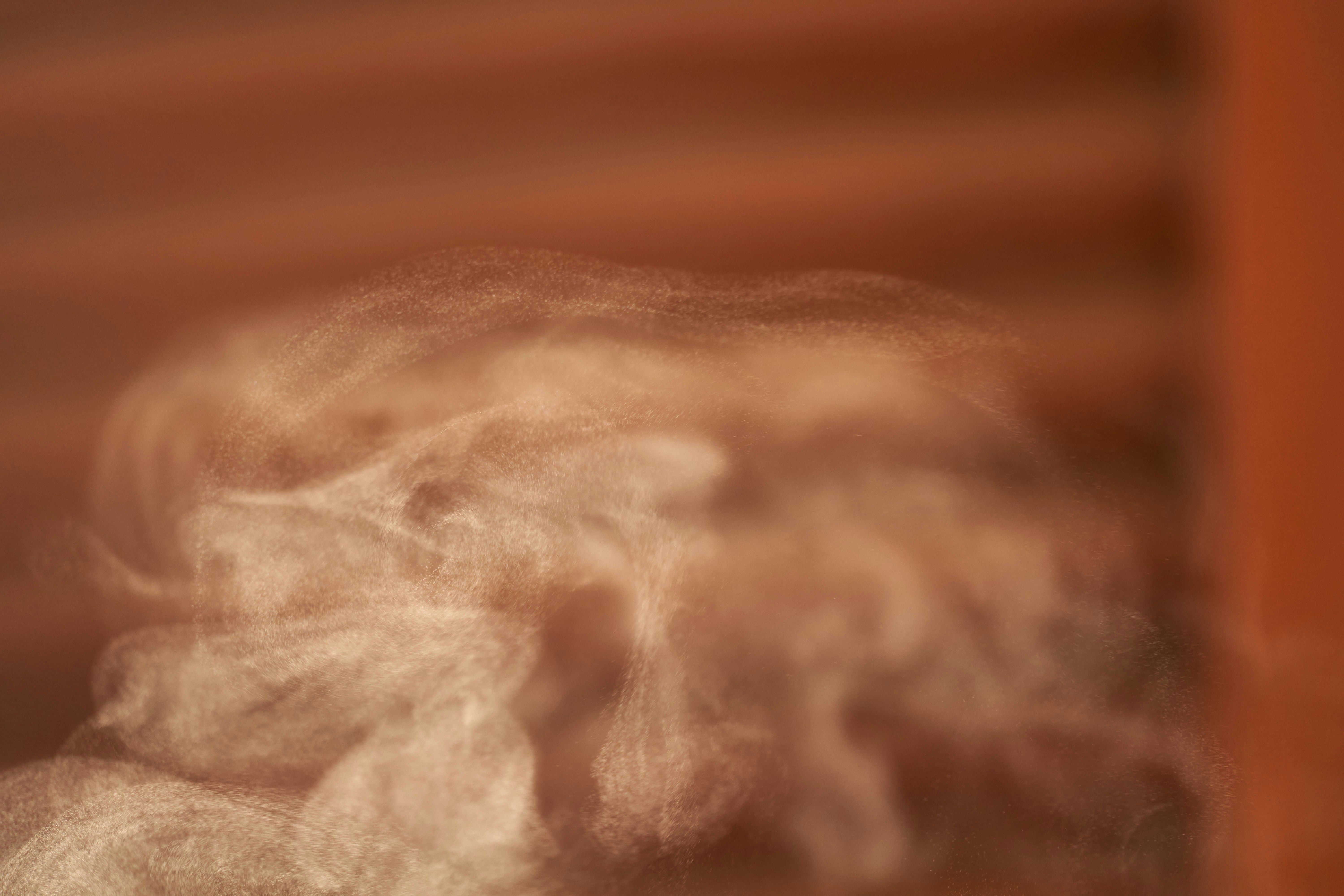 Photo by wolfgang_hasselmann