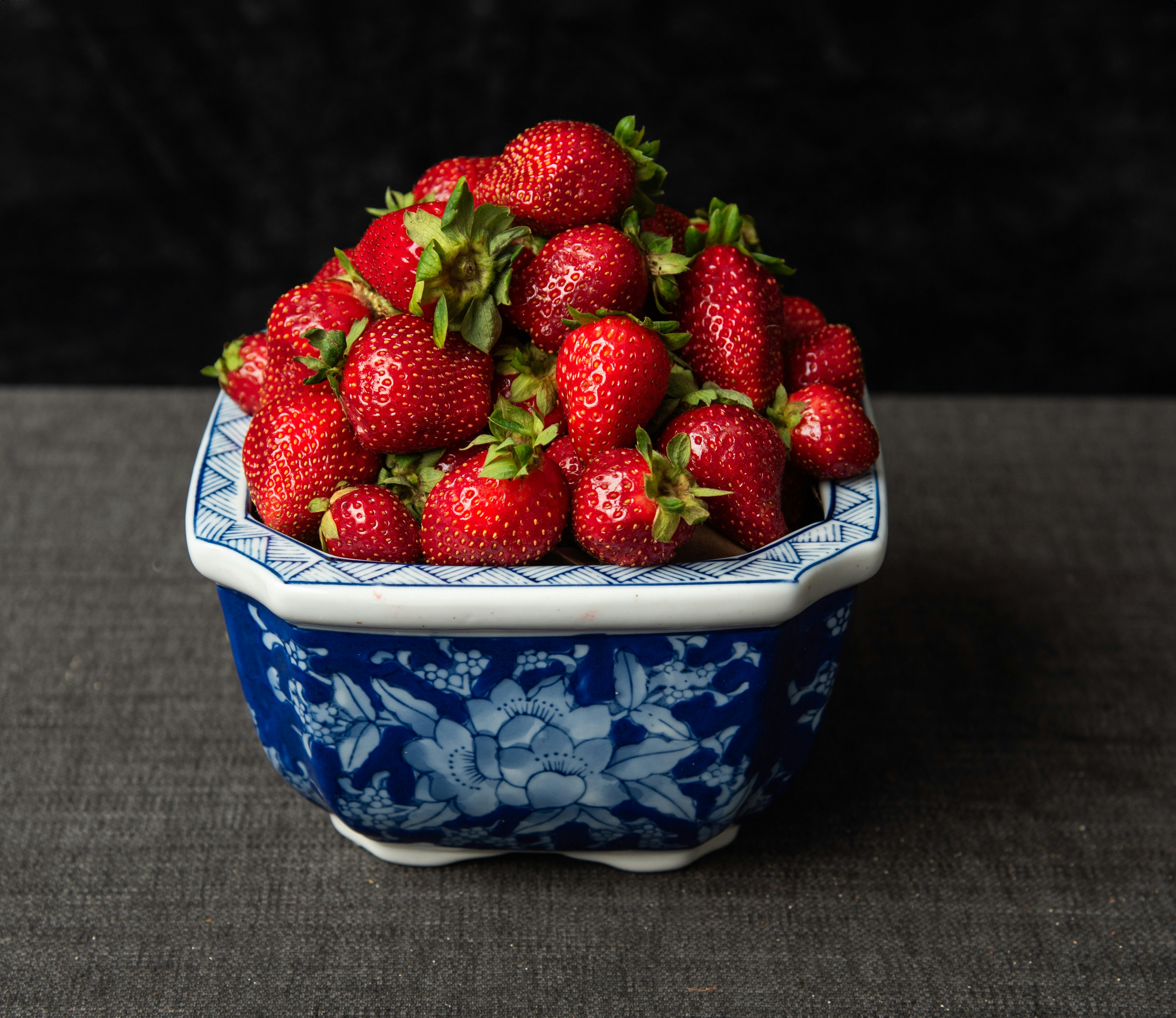 Photo by paulaevelynphotography