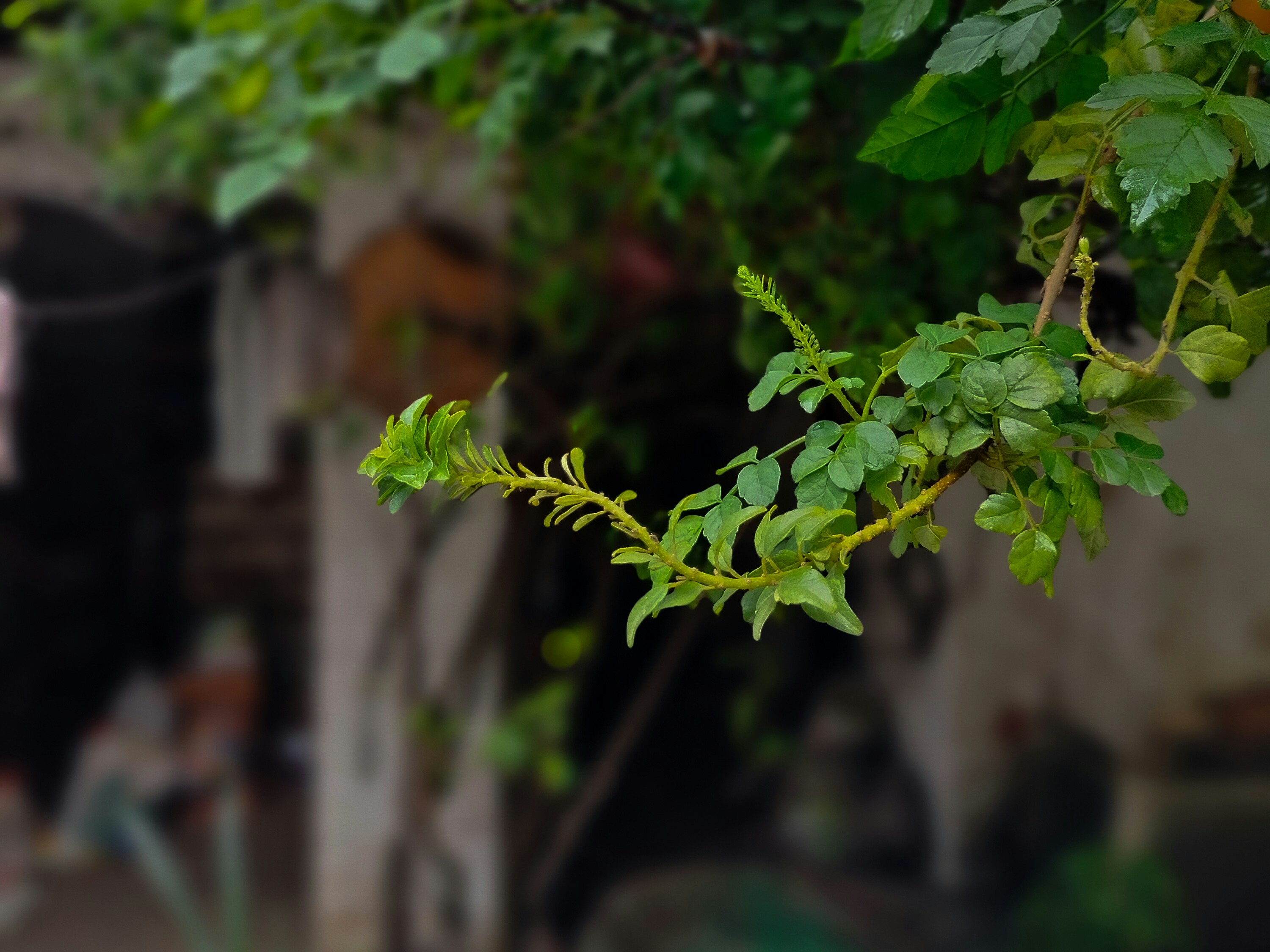 Photo by sujaypaulsp