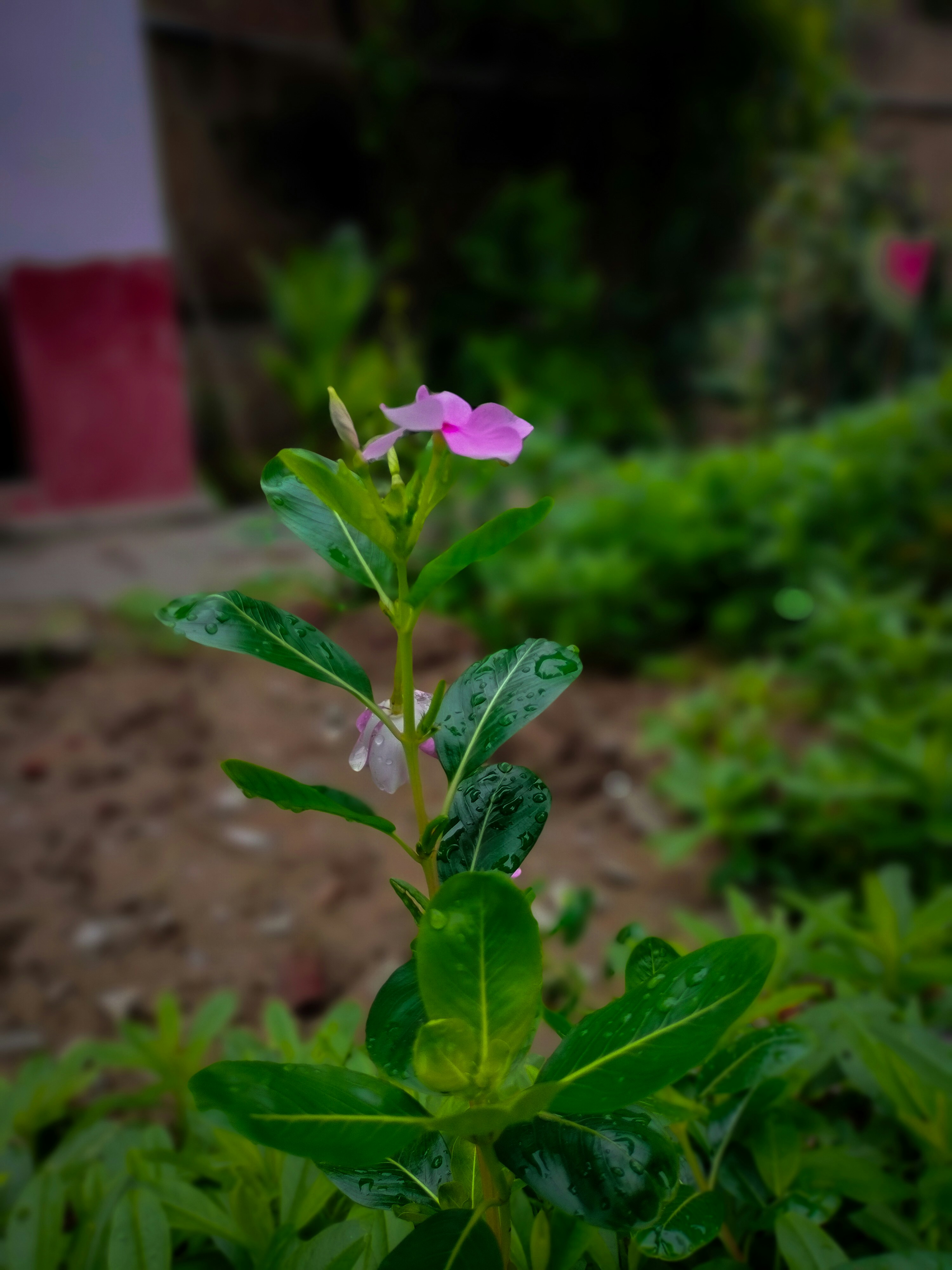 Photo by sujaypaulsp