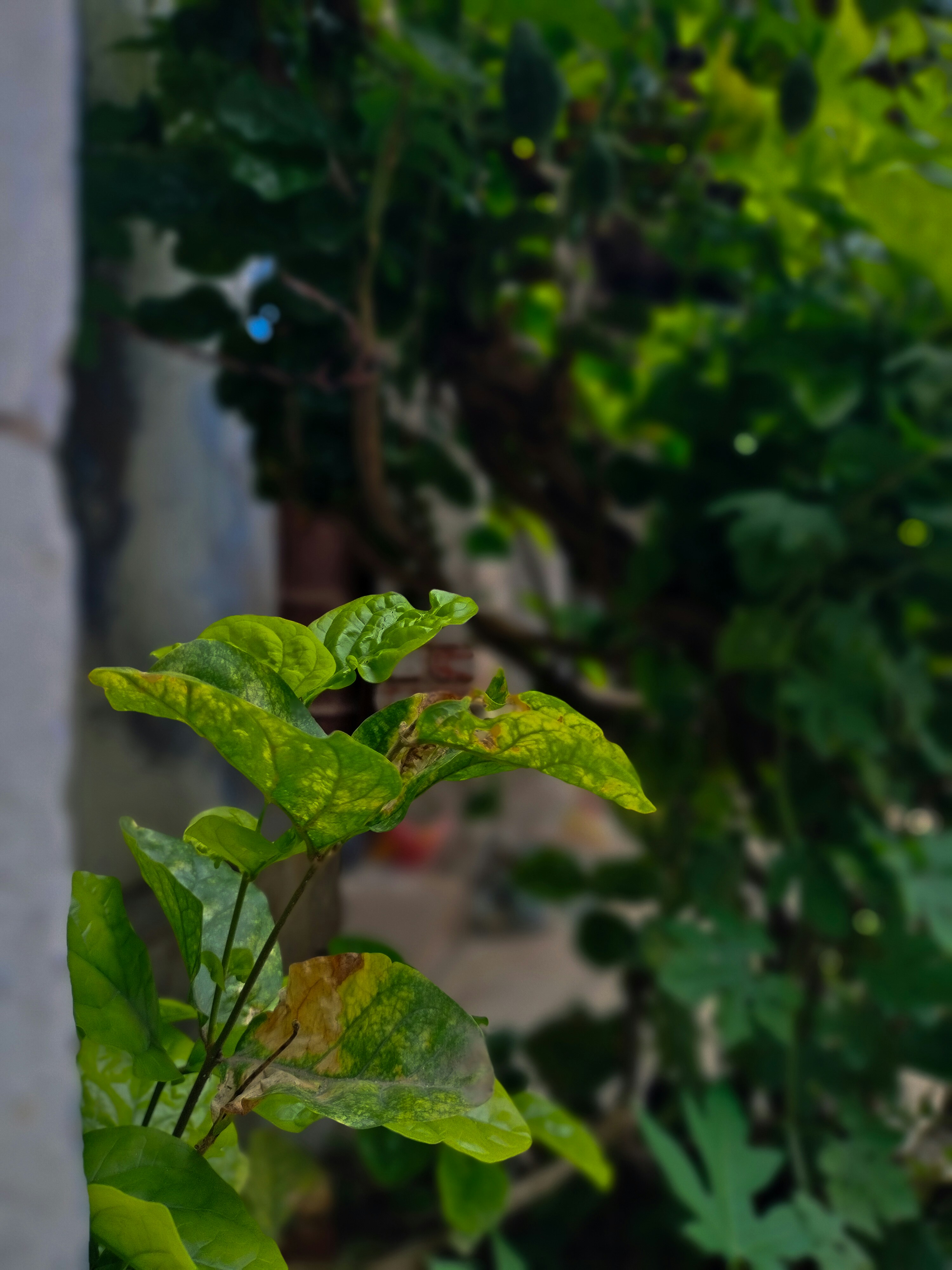 Photo by sujaypaulsp