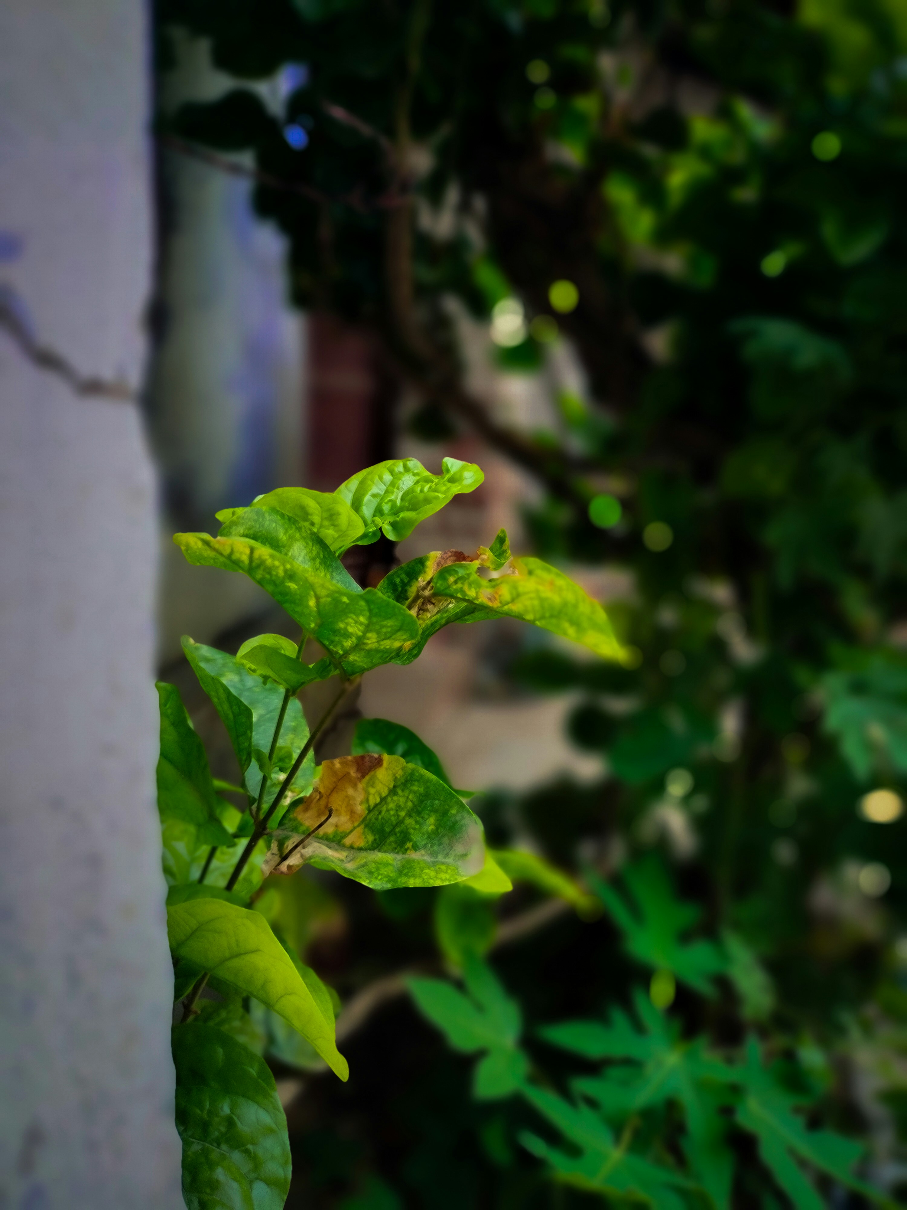 Photo by sujaypaulsp