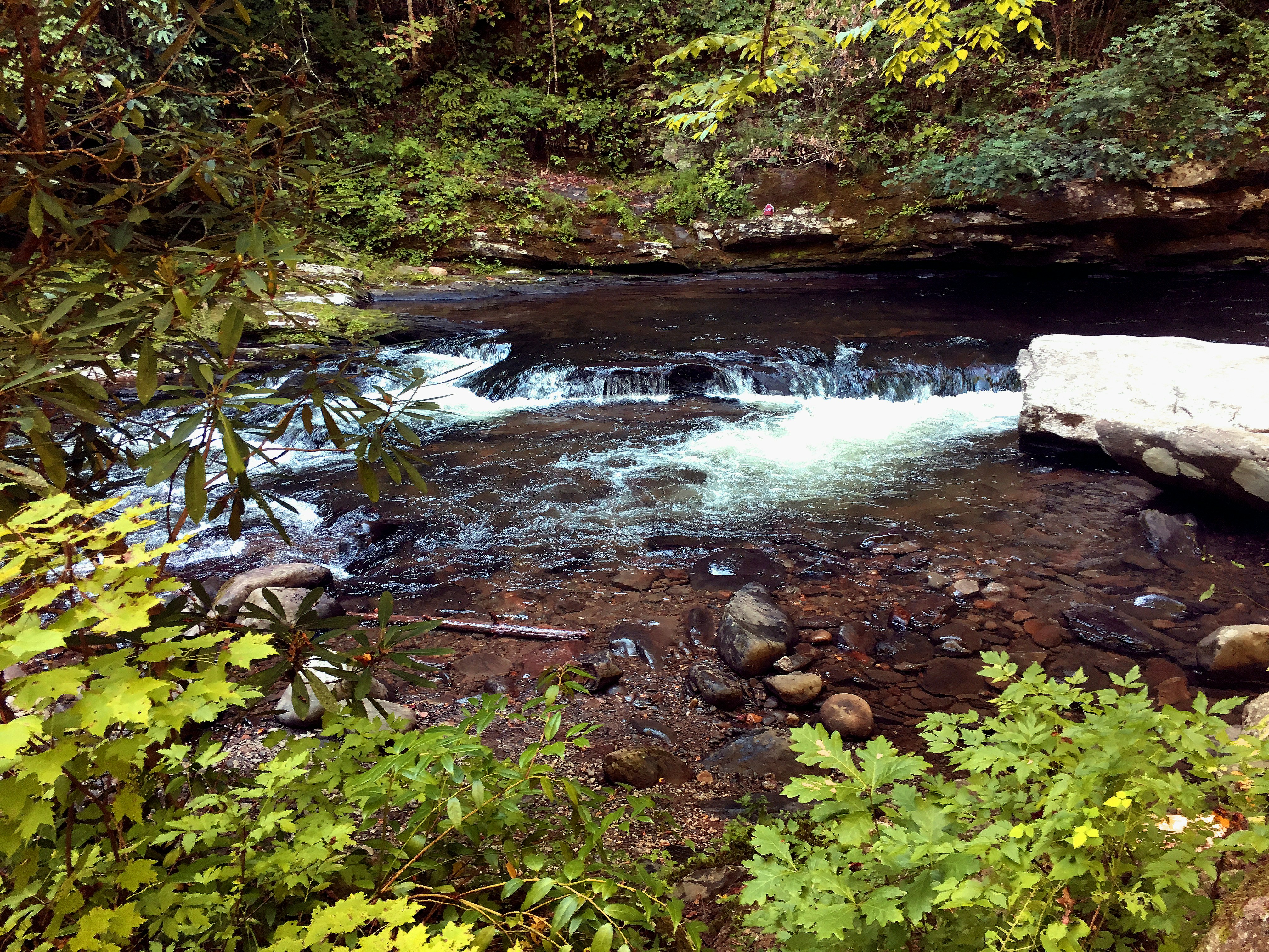 Photo by uptownjazznet