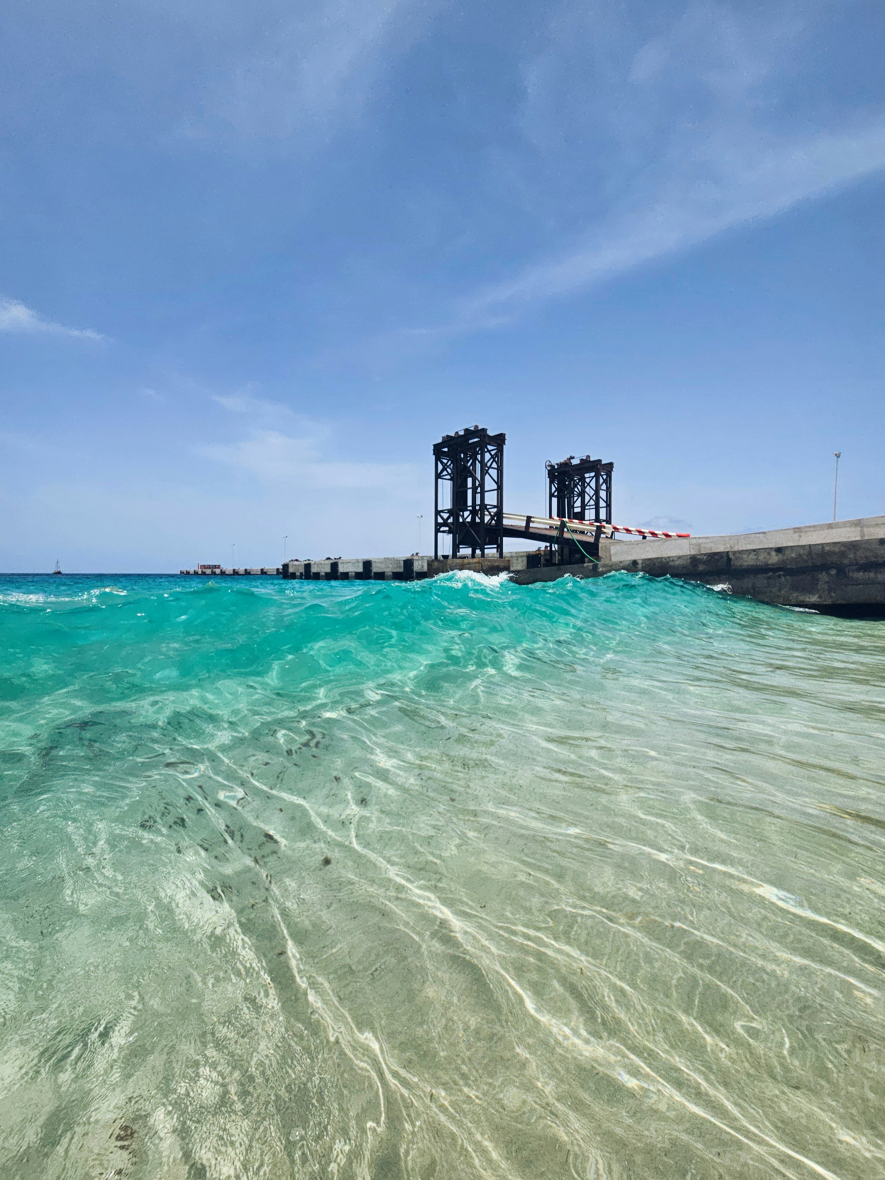 Parque 13 de Maio photo 3