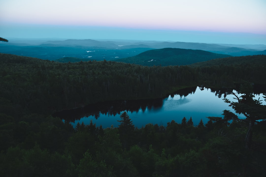 A lake surrounded by trees in the middle of a forest