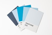 A pantone color swatch with a white background