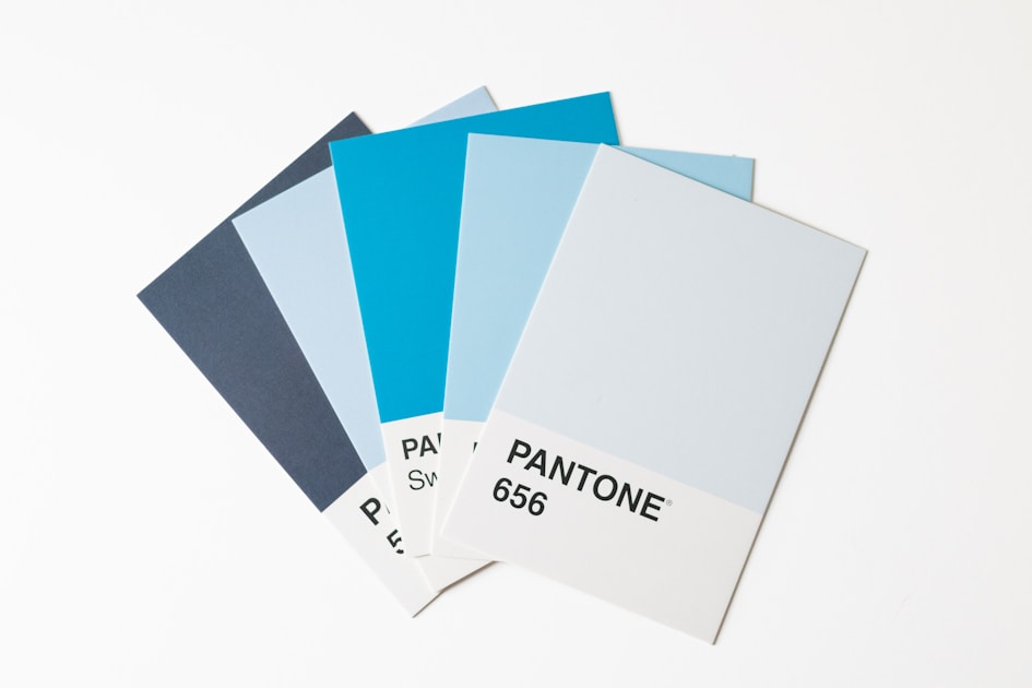 Panduan warna dan referensi brand di atas meja desain untuk menyusun brief visual