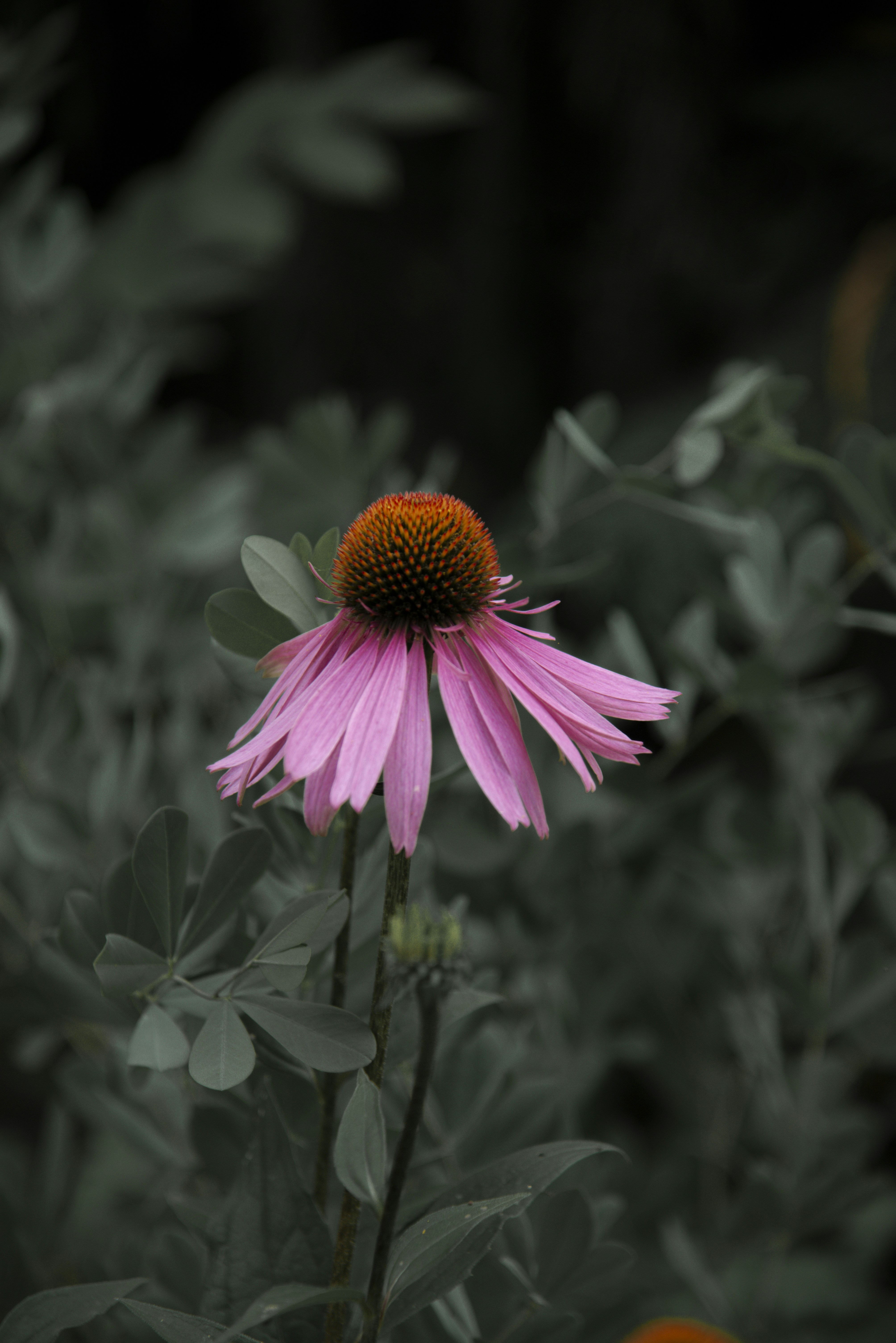 Photo by malwinanogaj