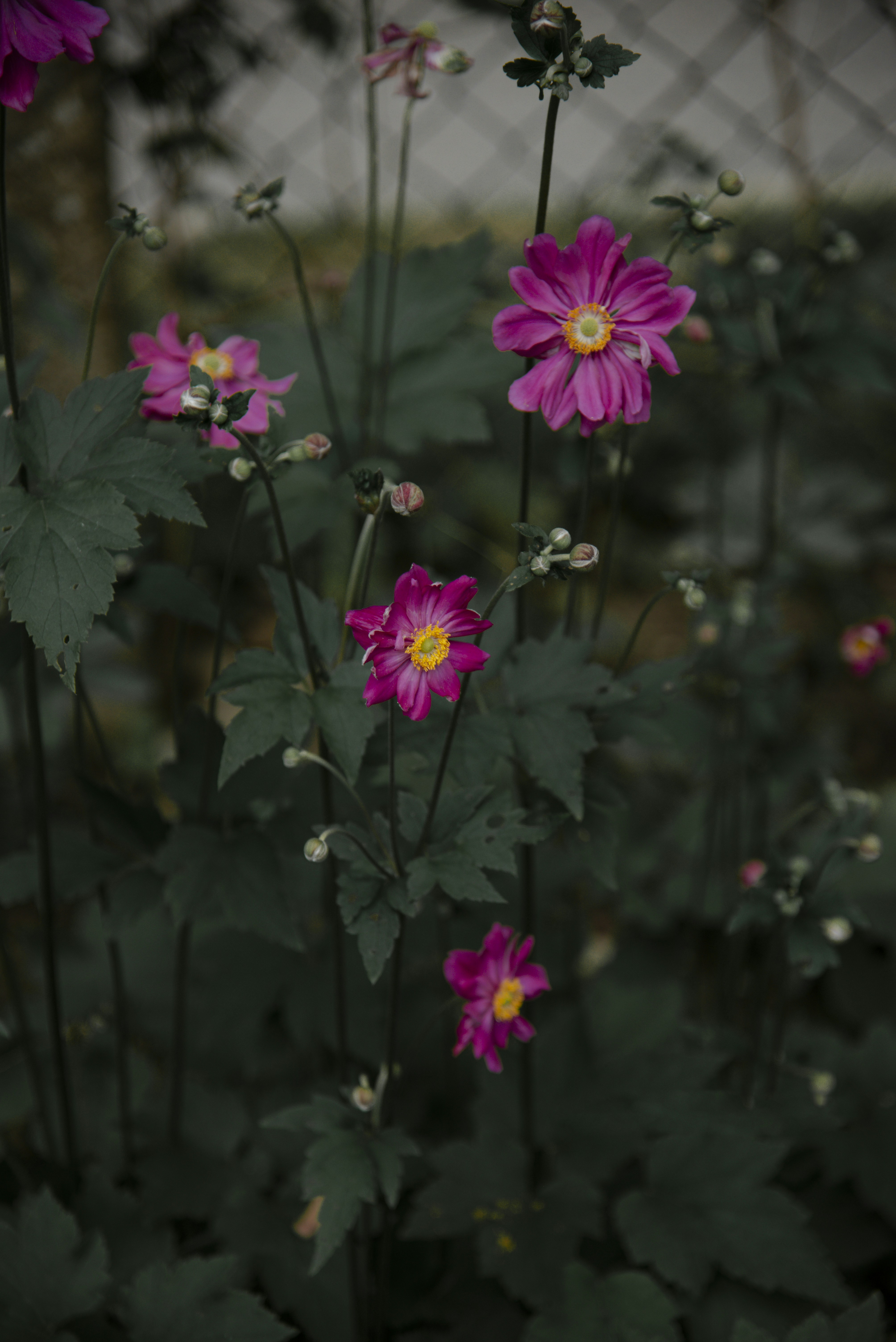 Photo by malwinanogaj