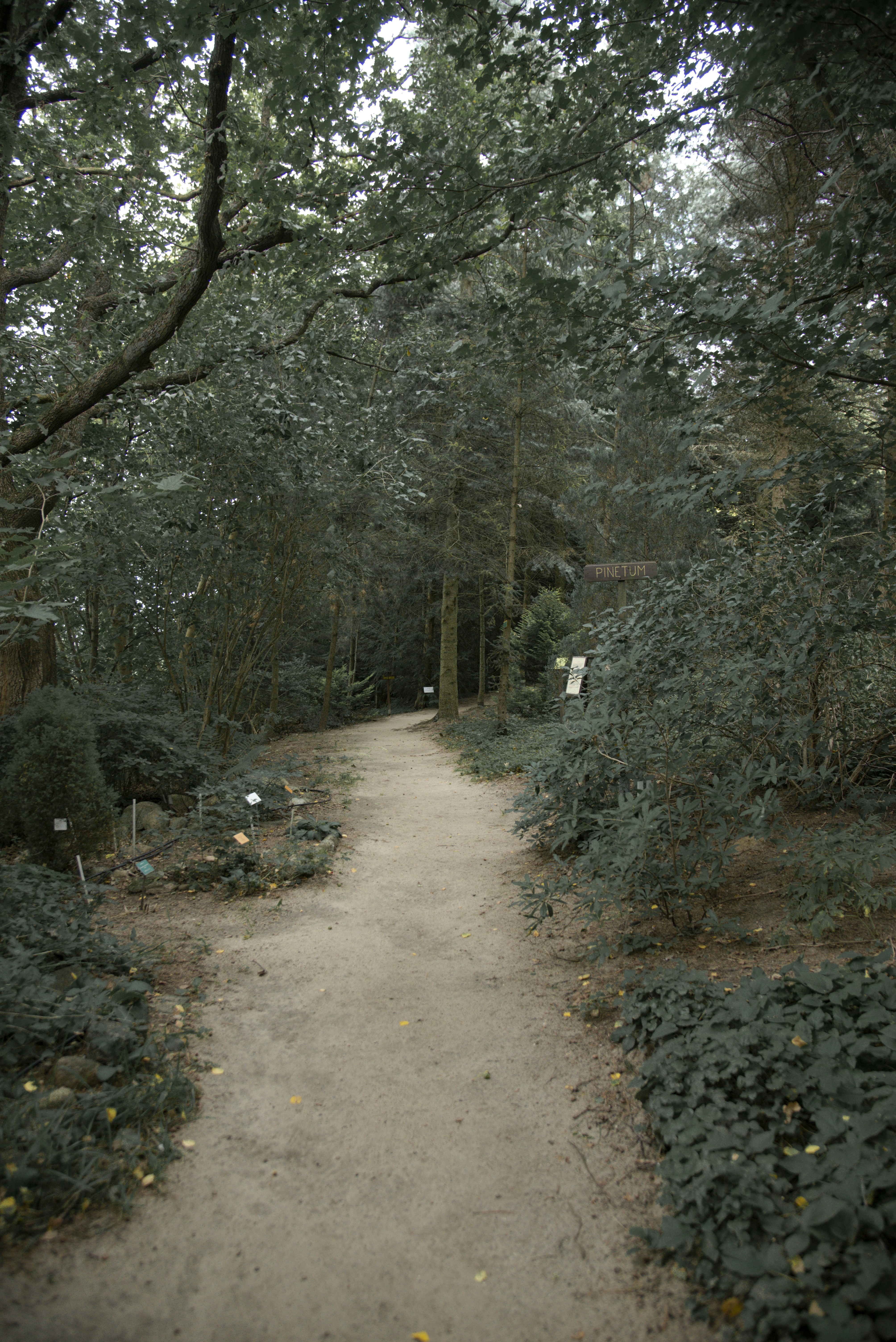 Photo by malwinanogaj