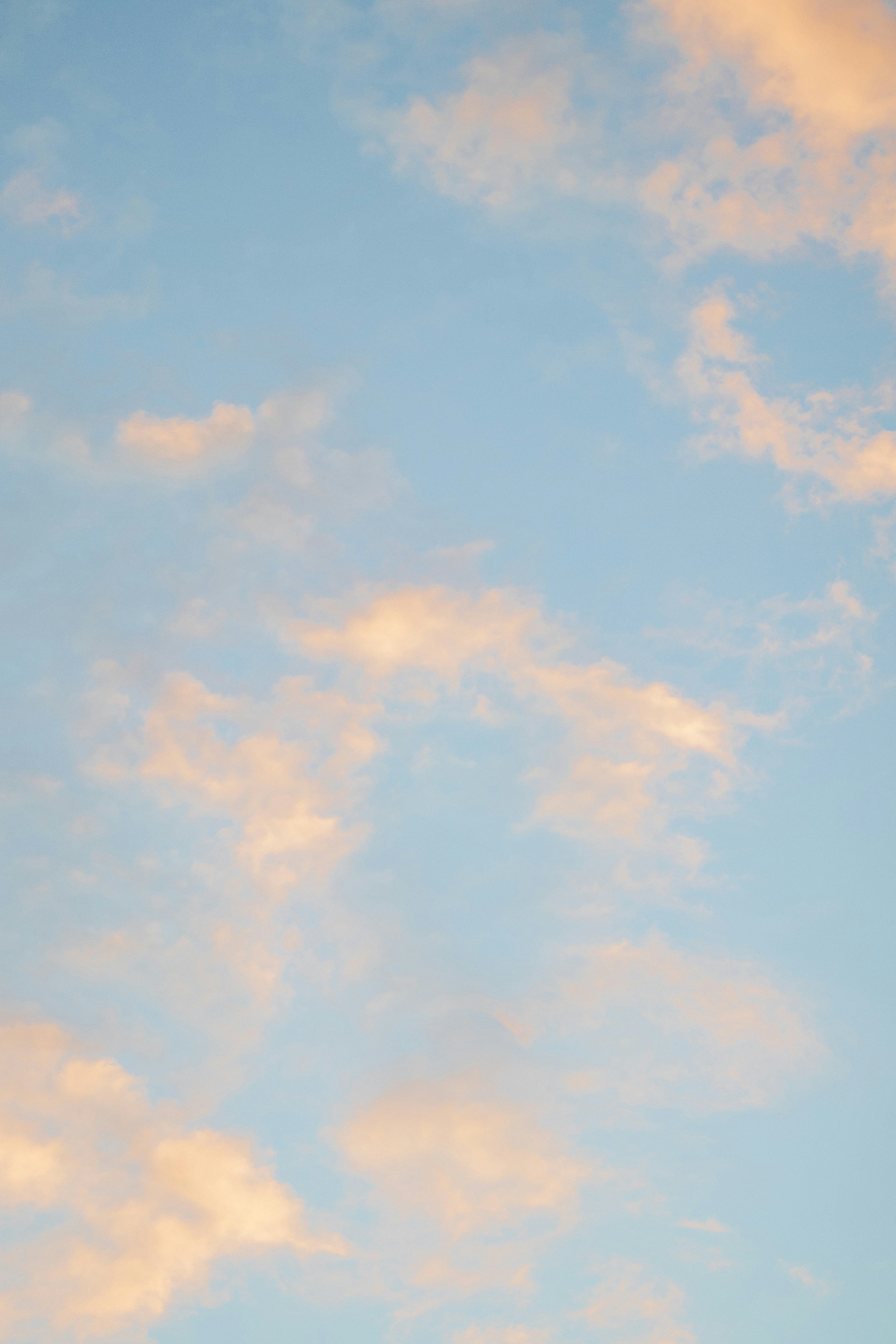 Photo by fionamurrayphoto