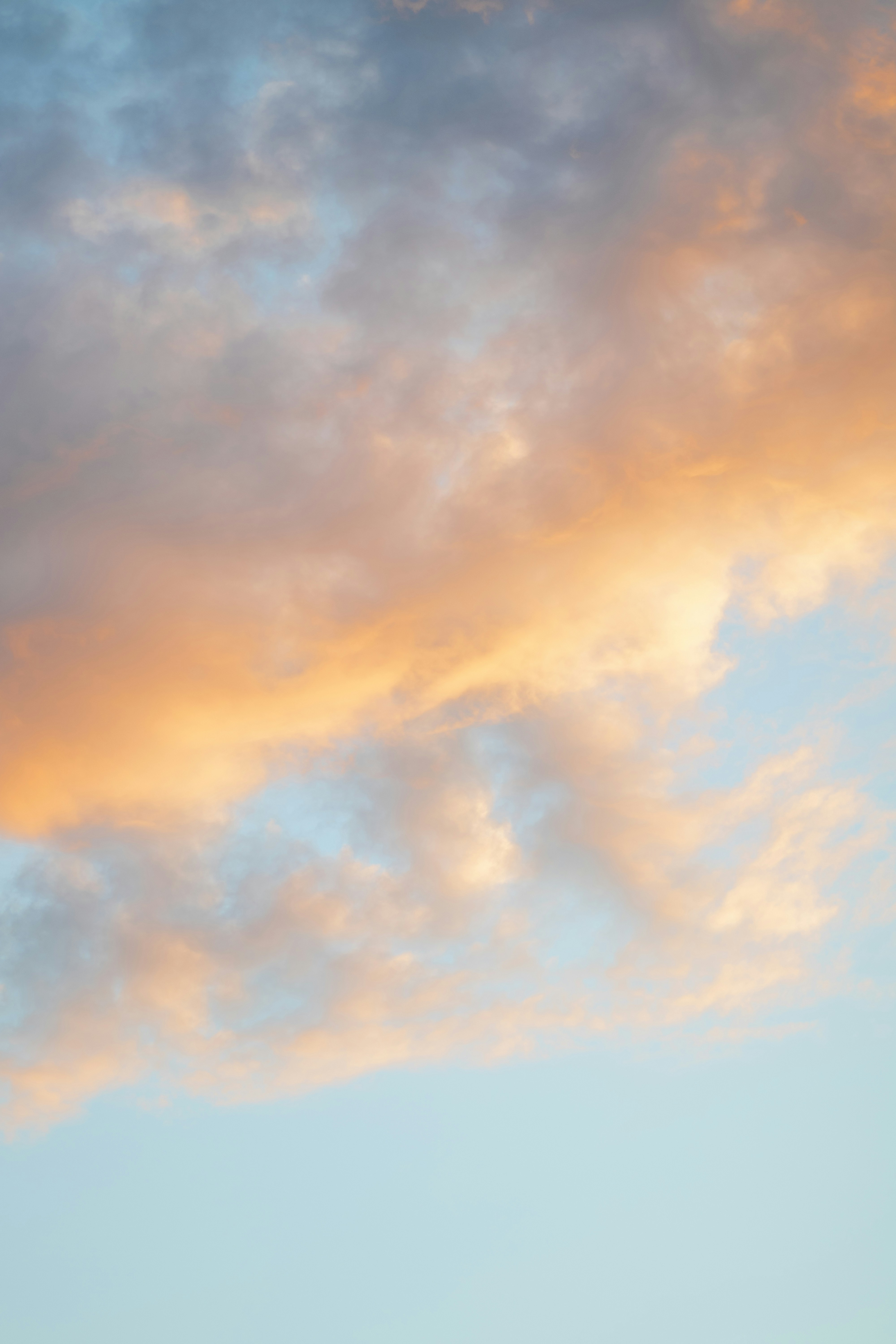 Photo by fionamurrayphoto