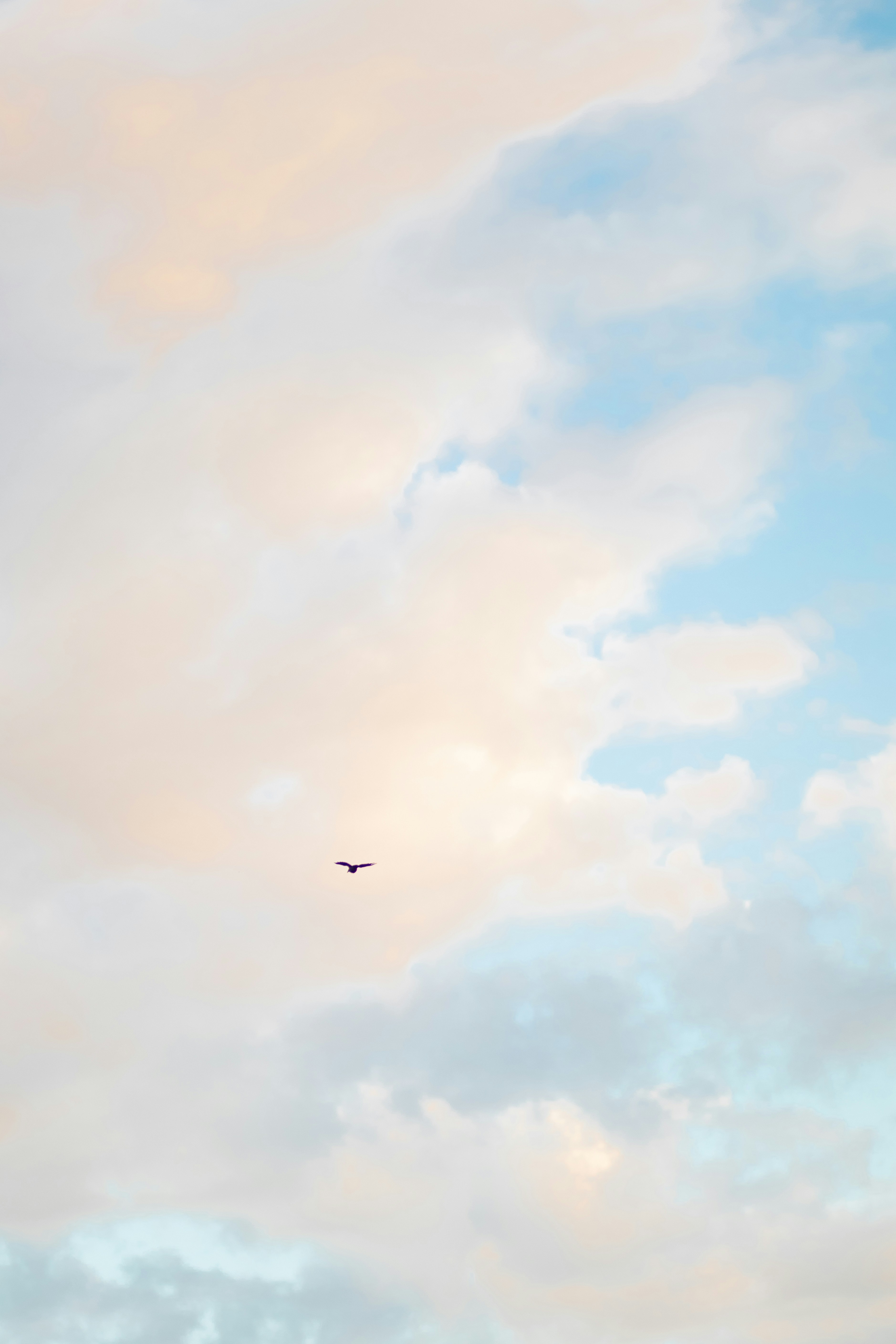 Photo by fionamurrayphoto