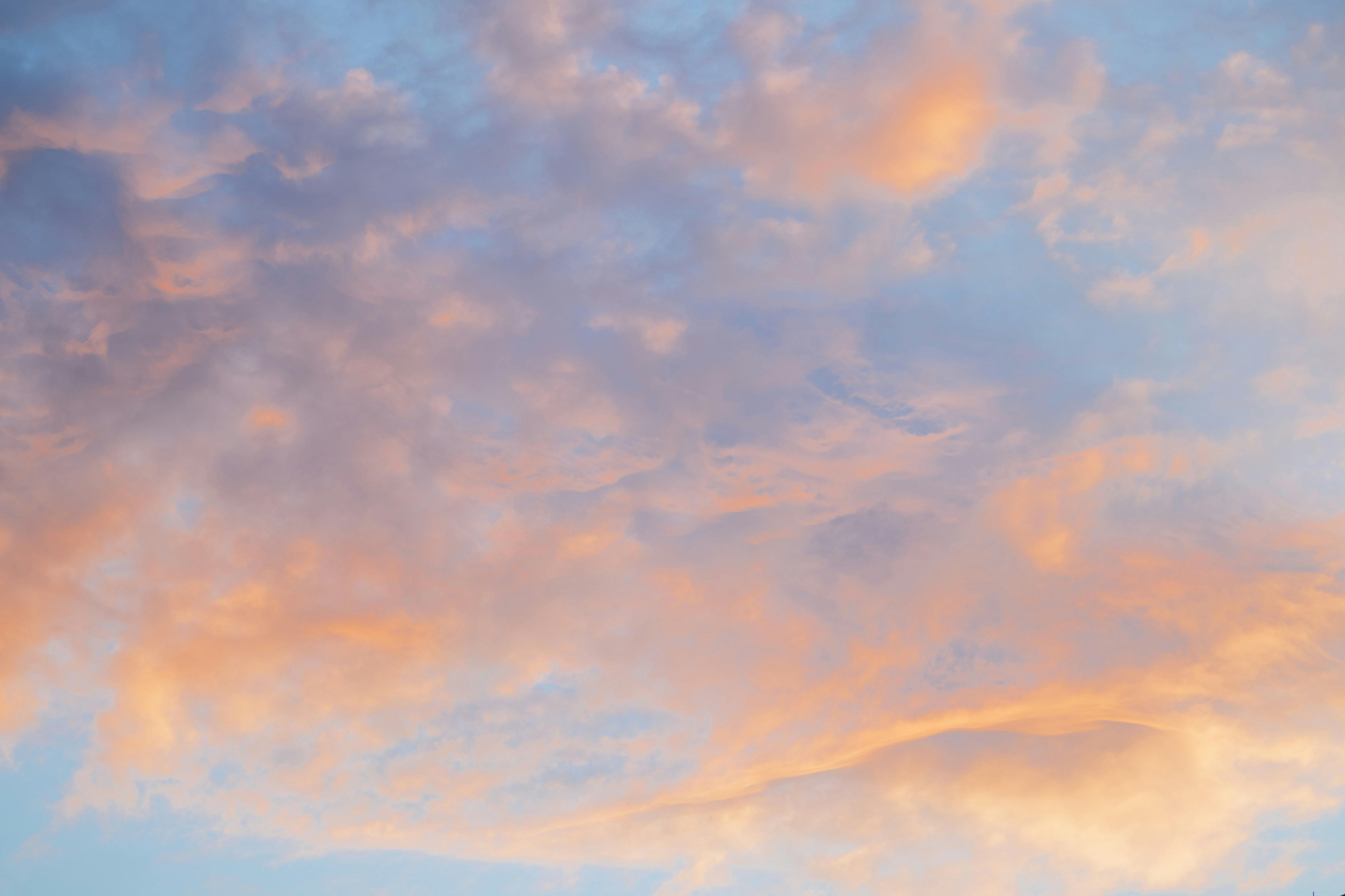 Photo by fionamurrayphoto