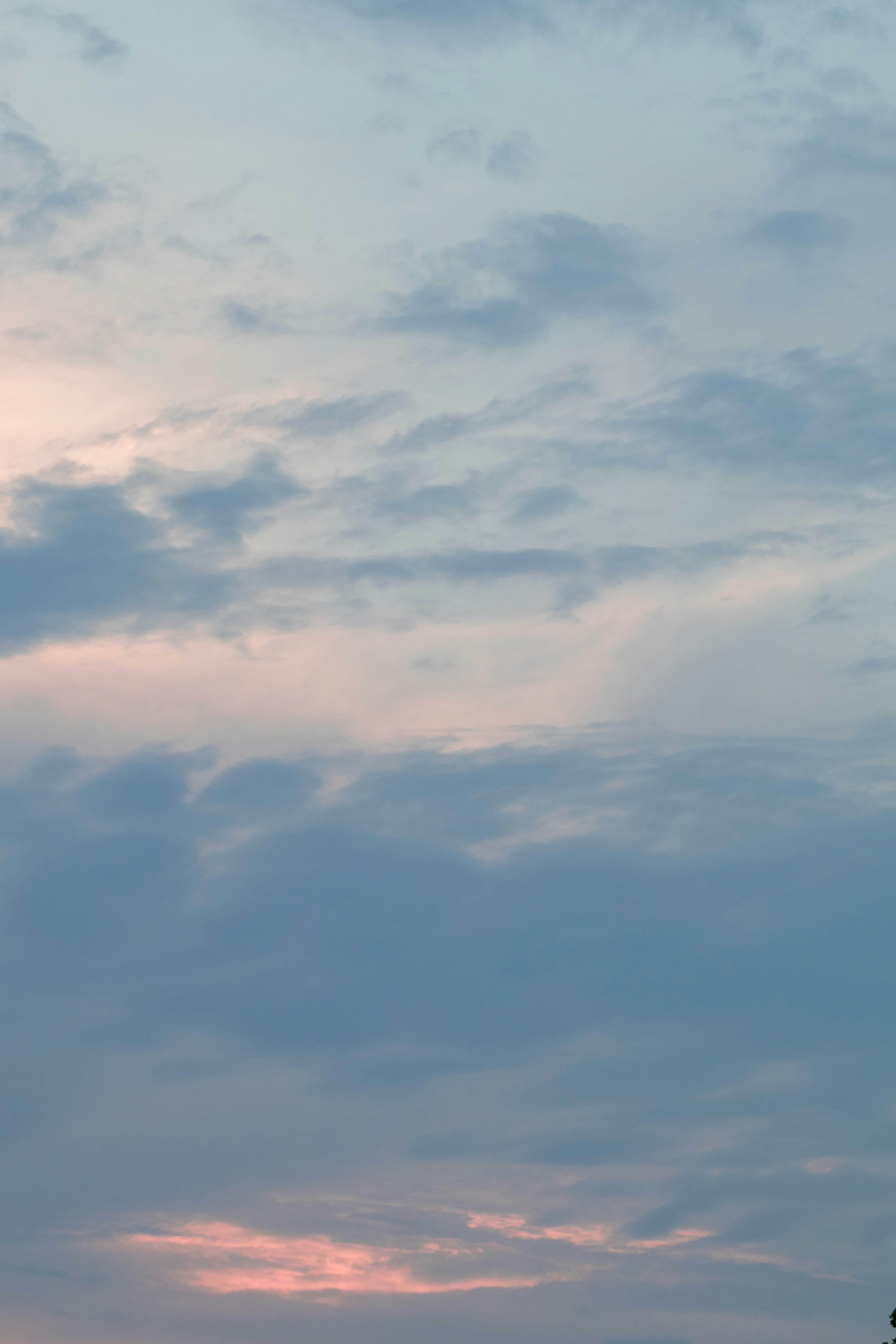 Photo by fionamurrayphoto