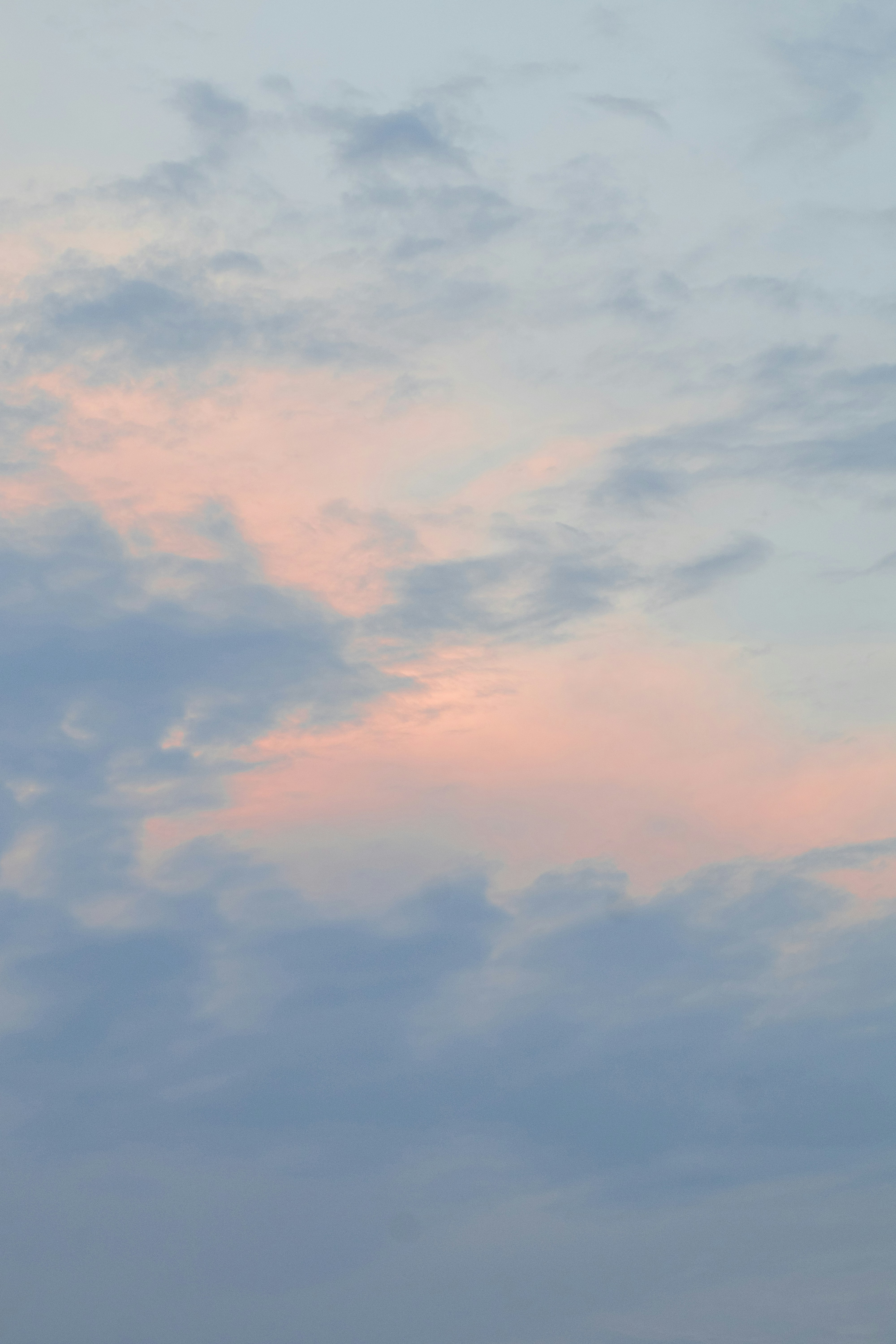 Photo by fionamurrayphoto