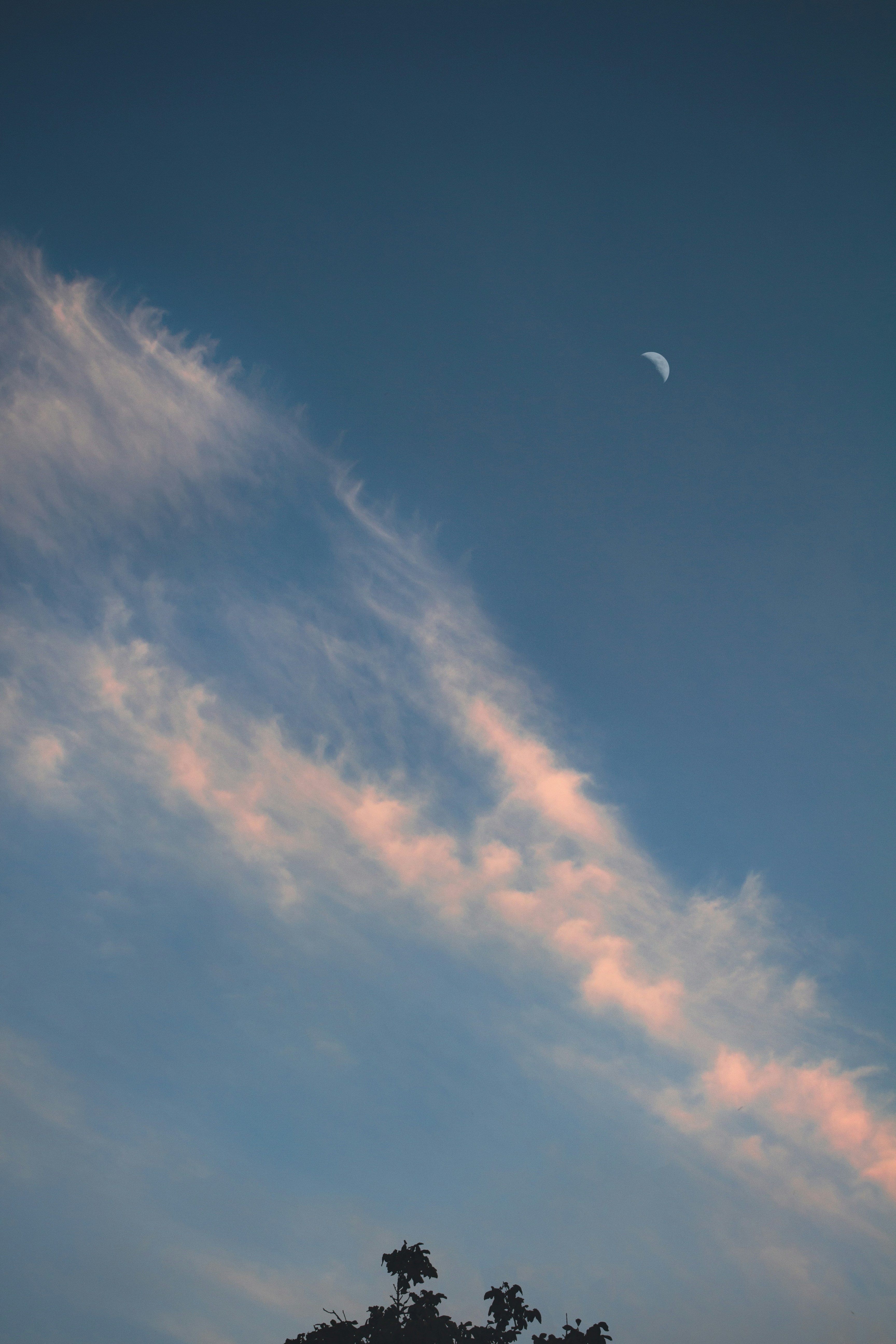 Photo by theprototype