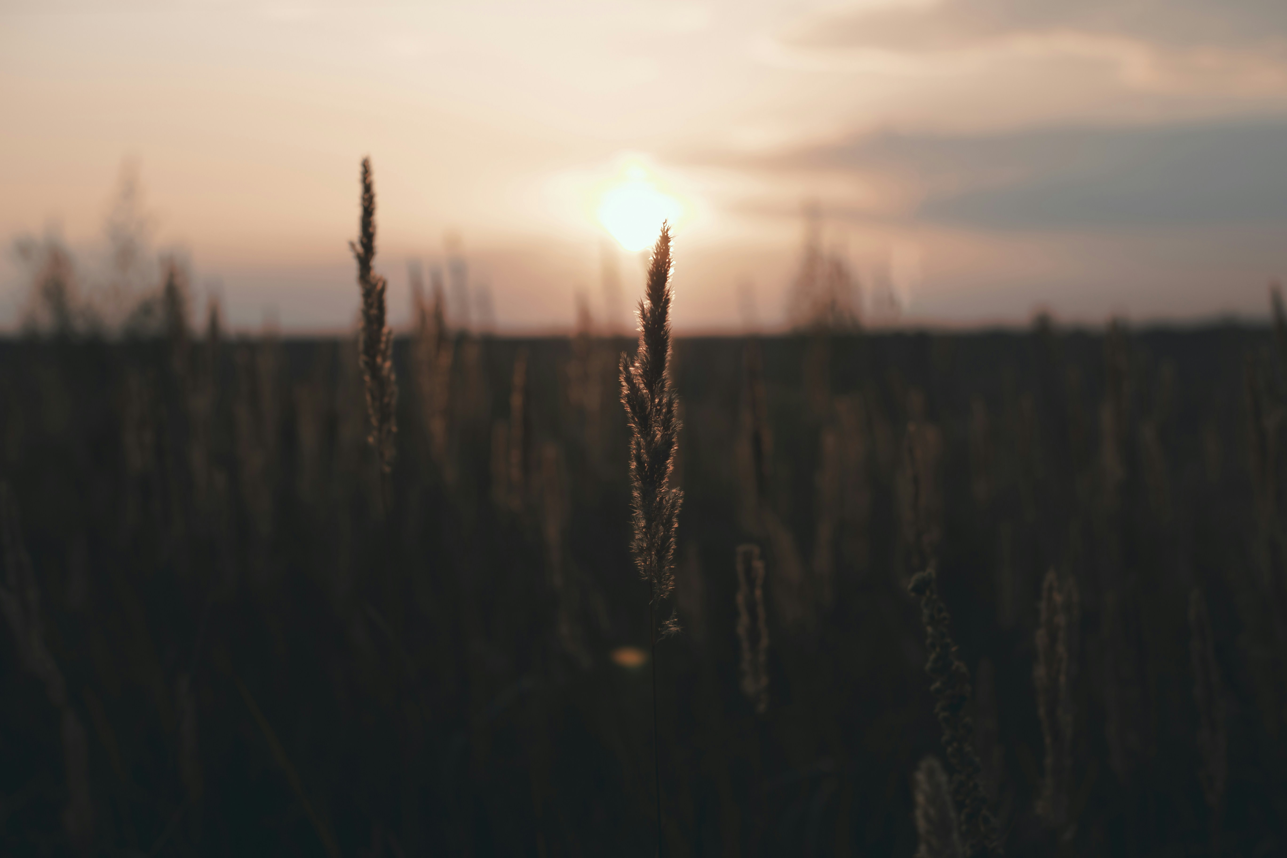 Photo by theprototype