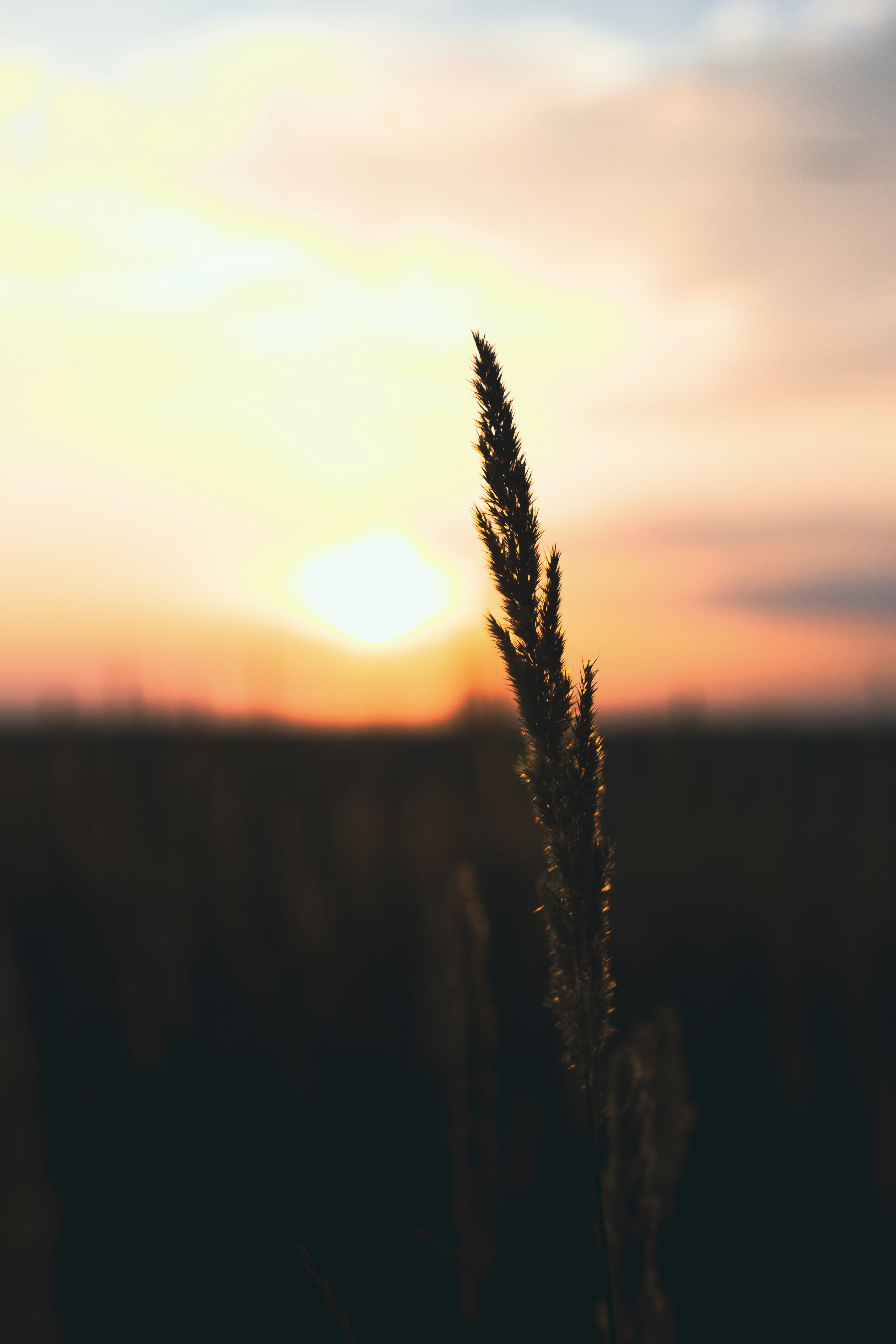 Photo by theprototype