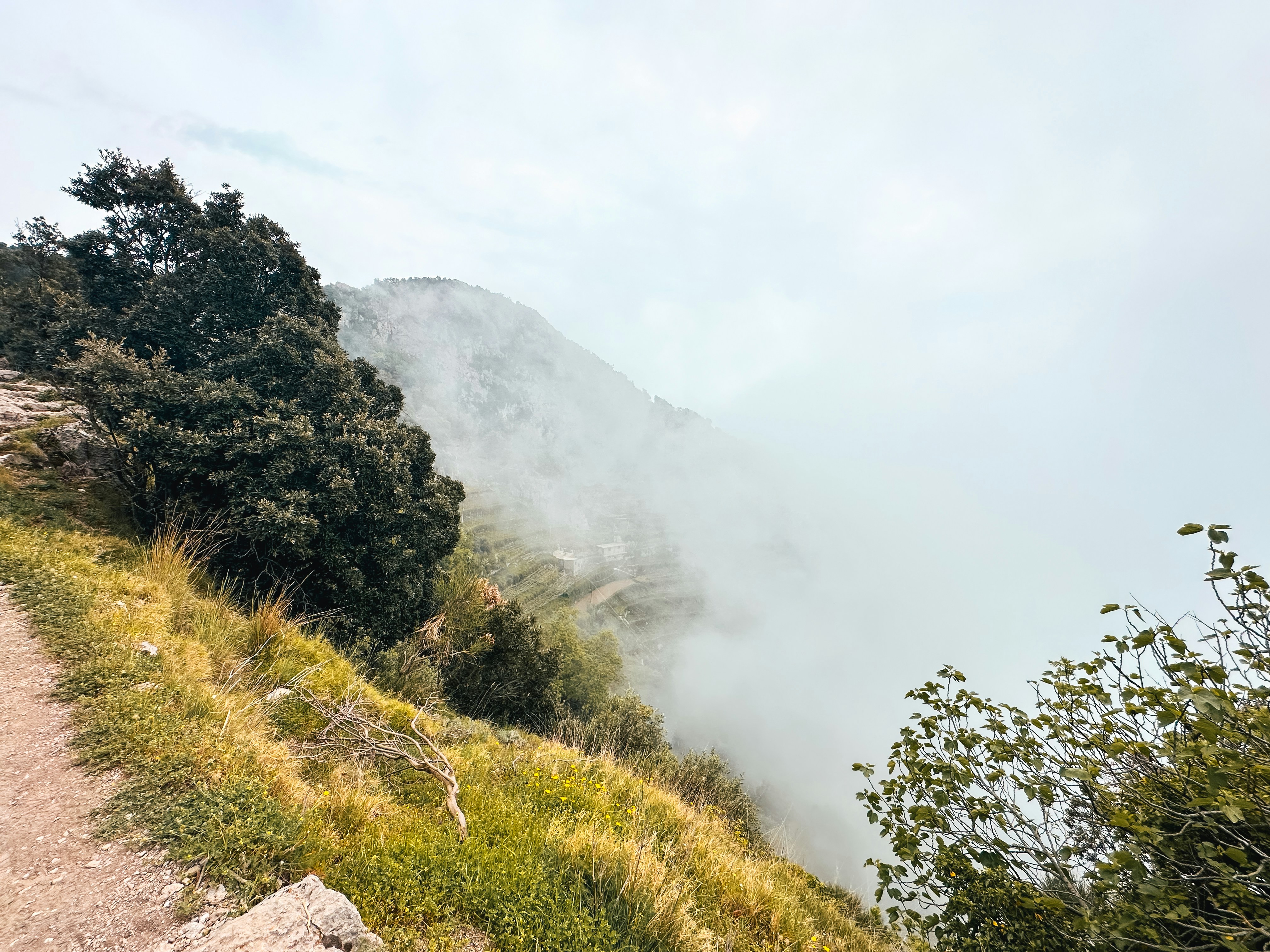 A trail on the side of a mountain in the fog