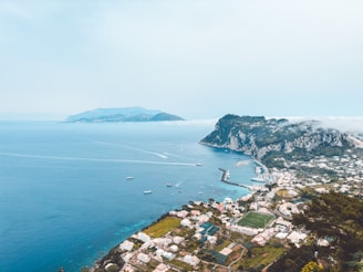 An aerial view of a town and the ocean