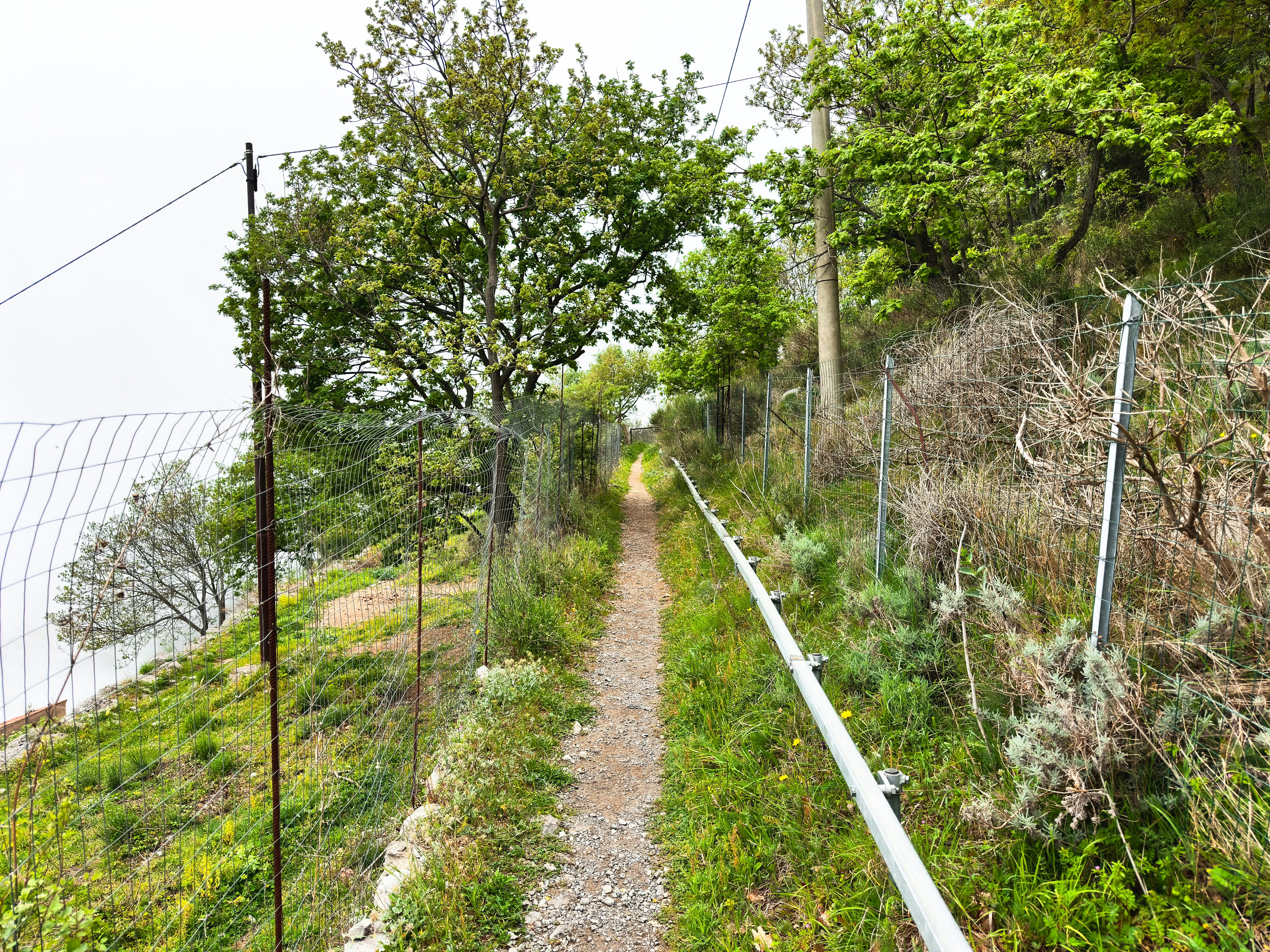 Sorrento trails: Keeping Spirits High: Games and Snacks