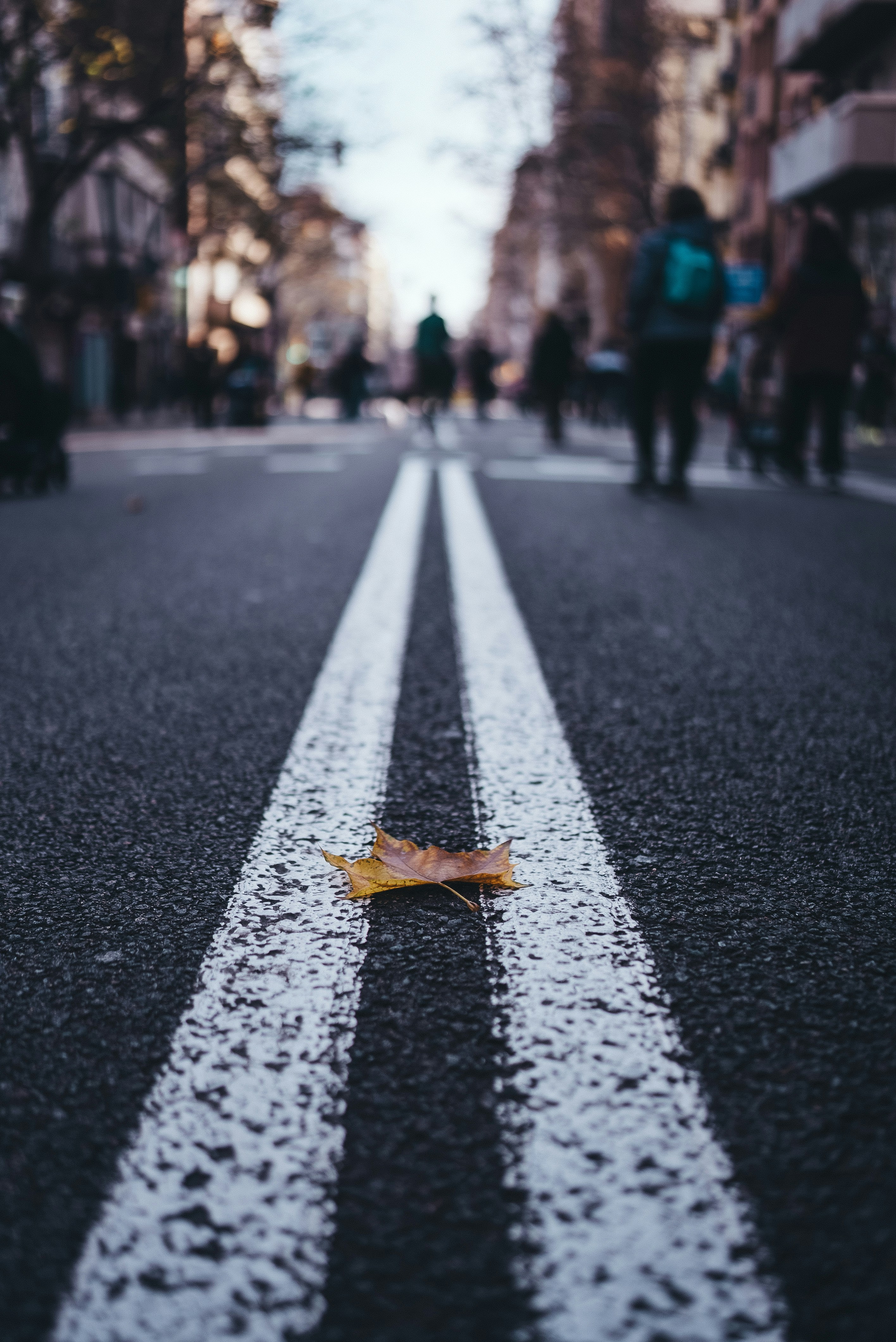 Photo by omarvellous14