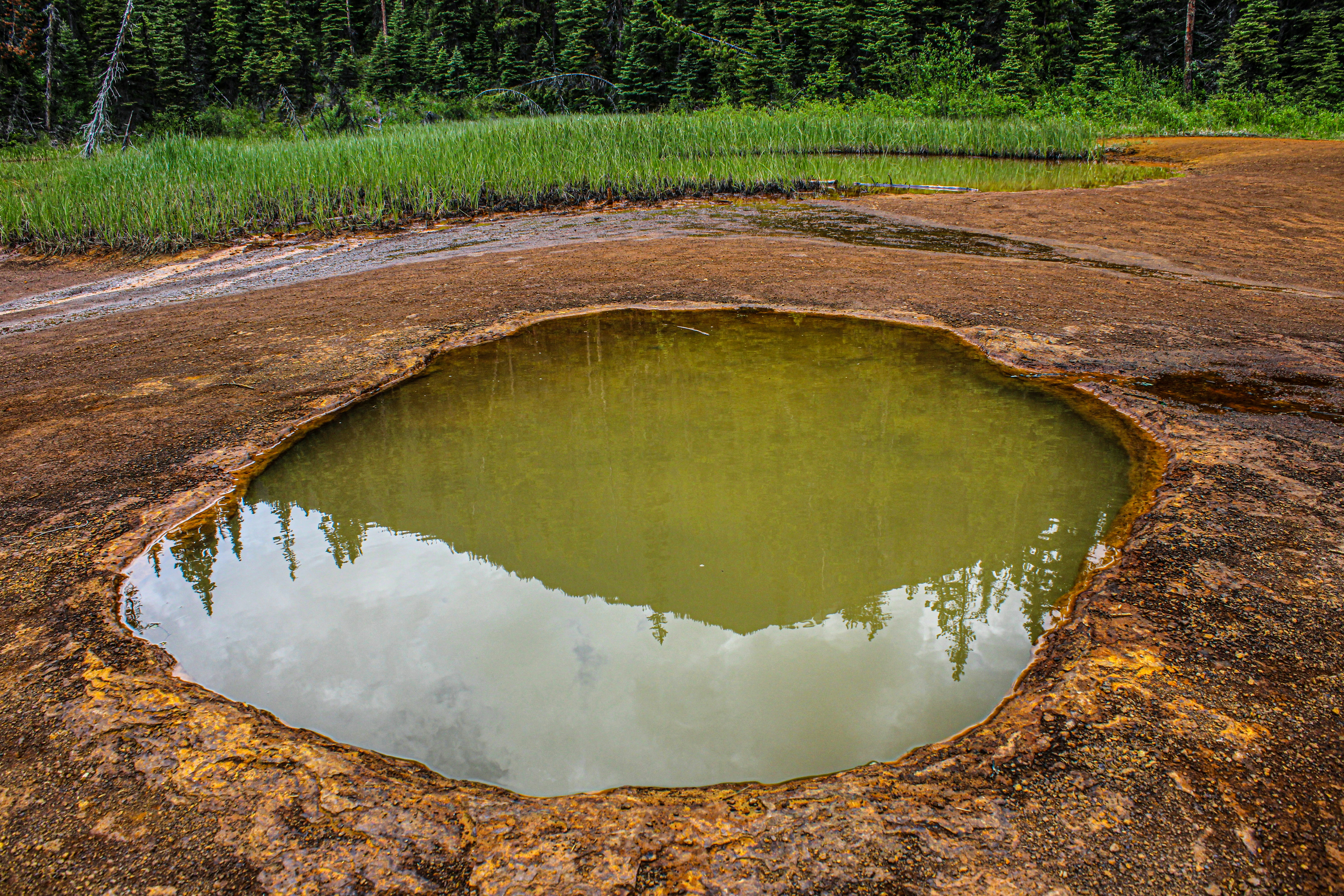 A large puddle of water in the middle of a dirt field