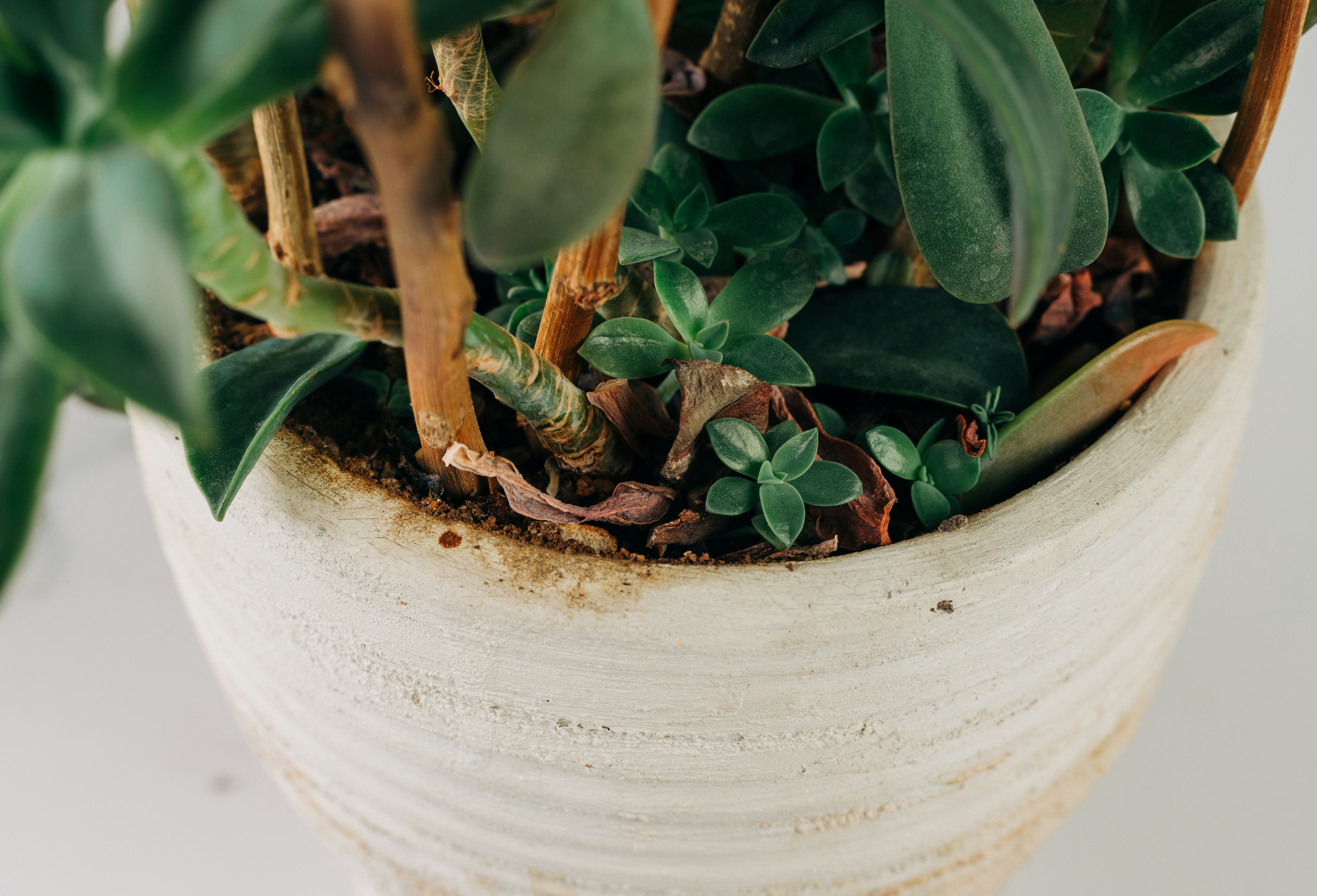 Photo by behy_studio