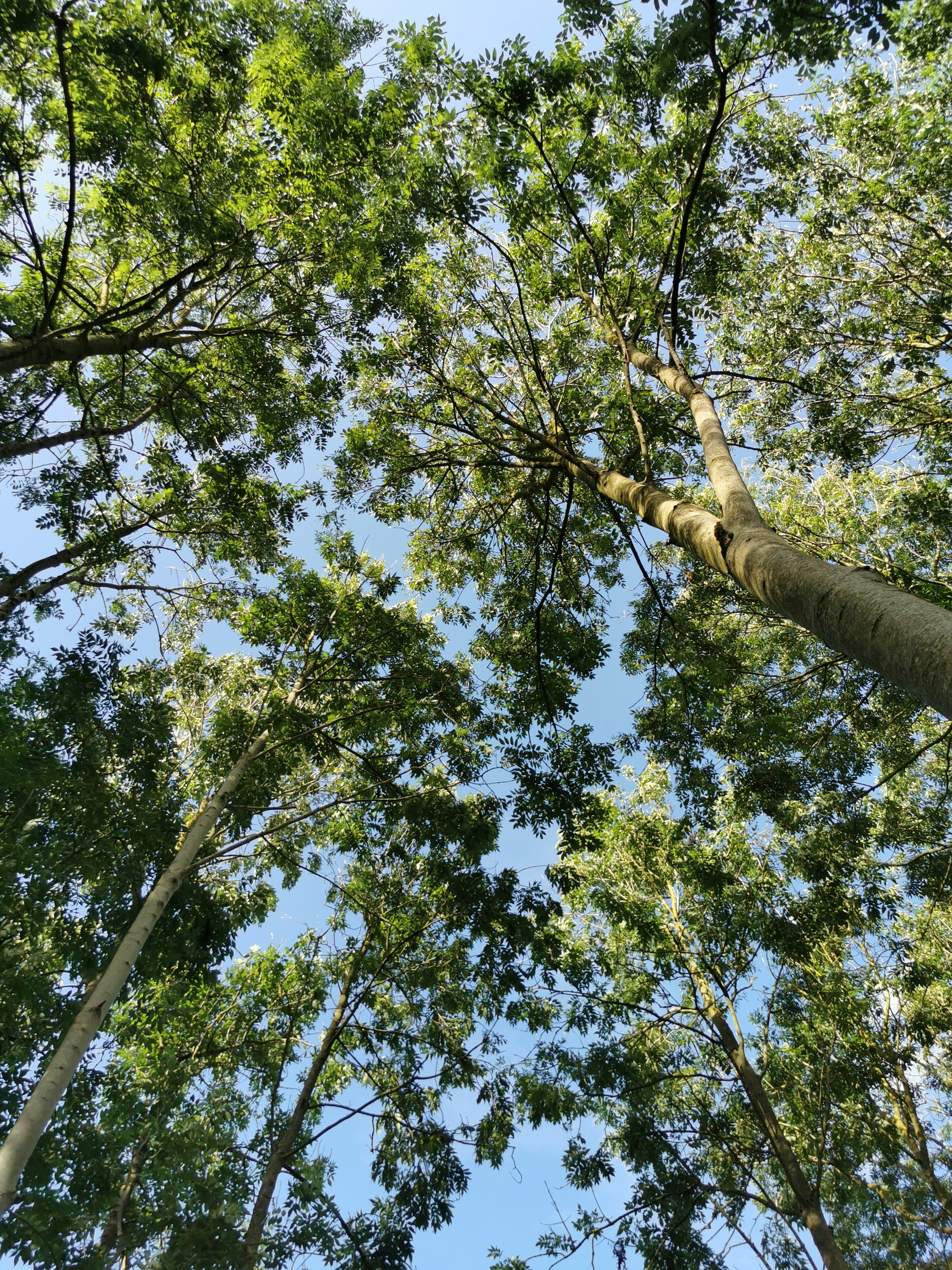 Photo by dloftusphoto