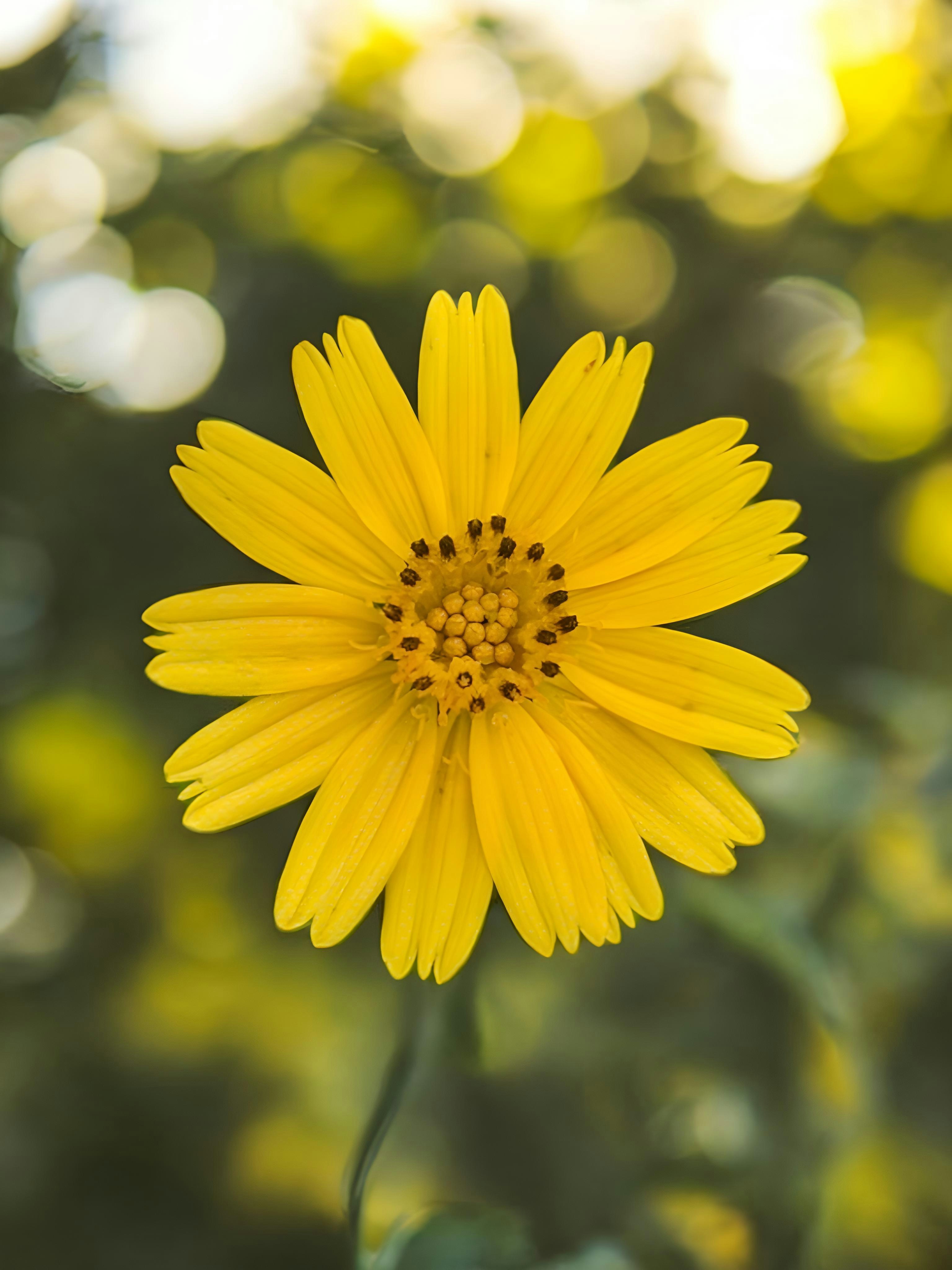 Photo by fayazahmedsunny