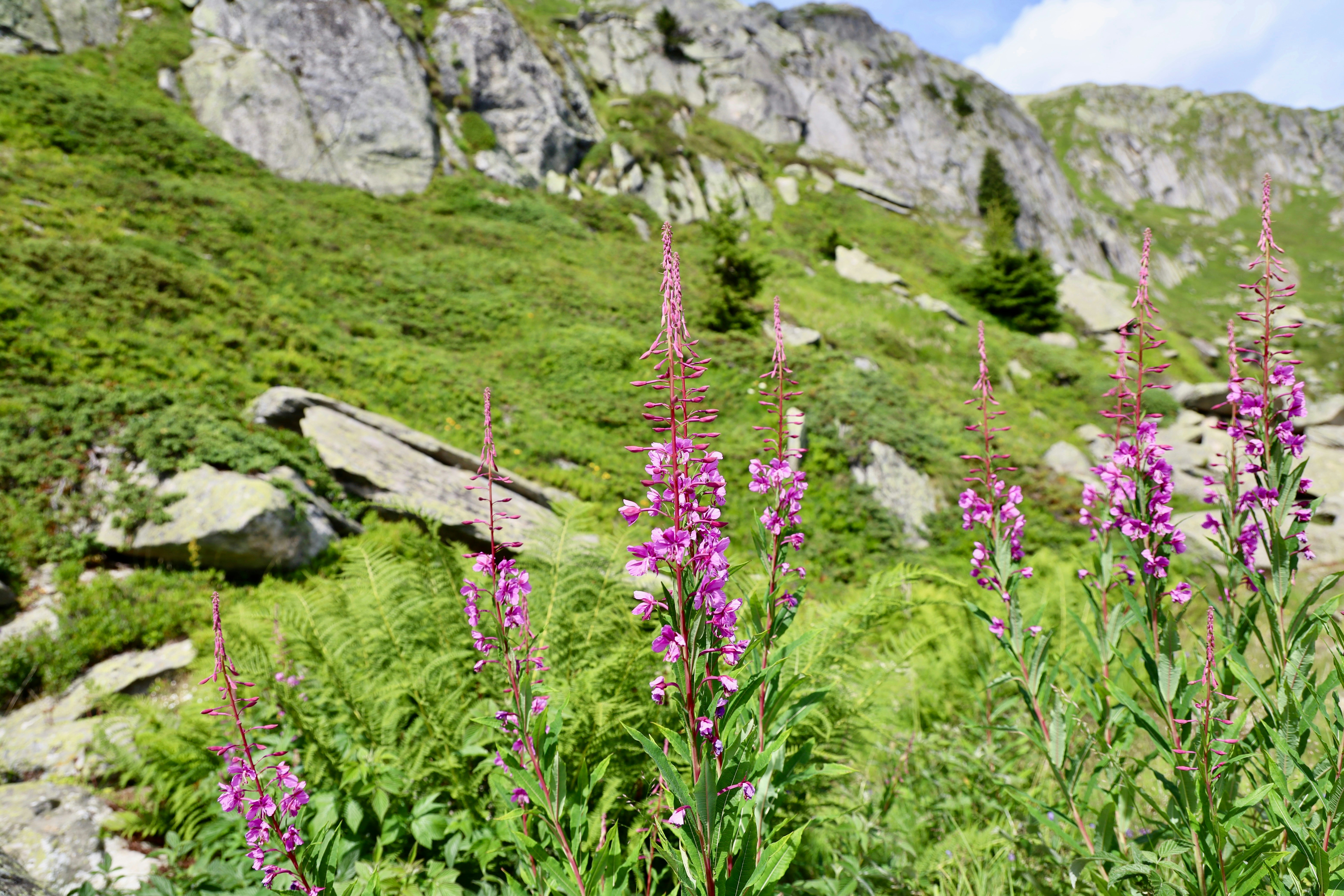 Photo by maximilian_brand