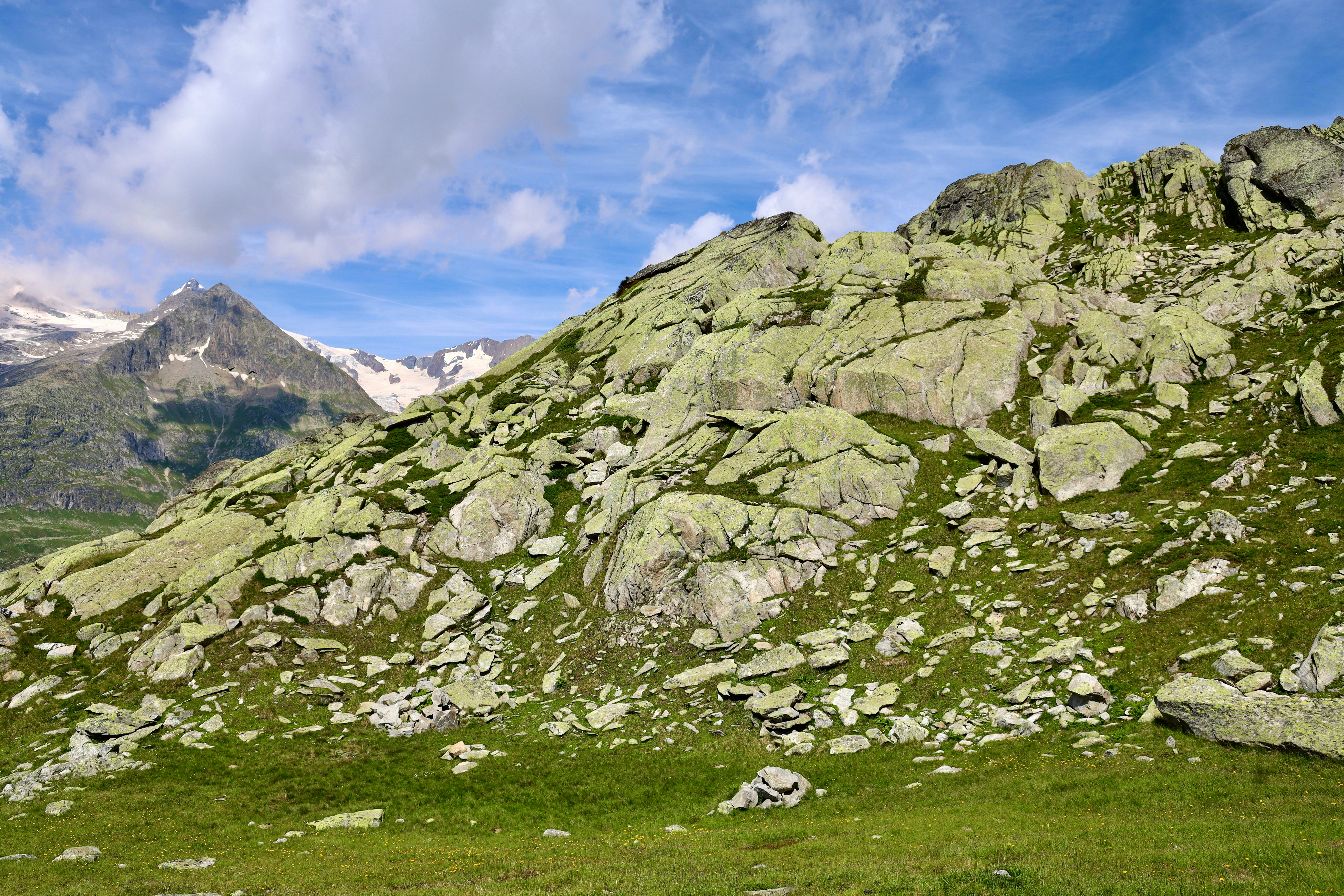 Photo by maximilian_brand