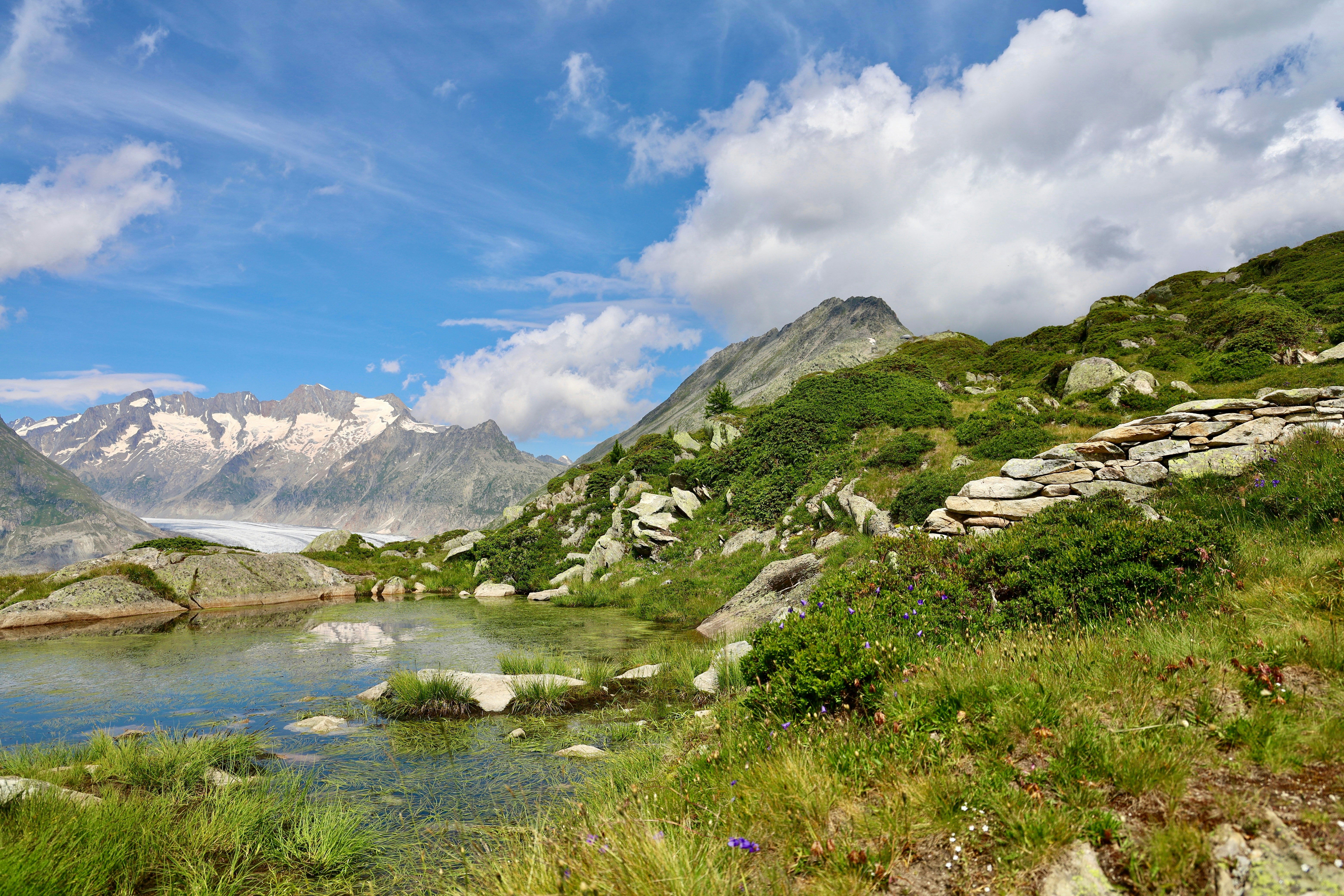 Photo by maximilian_brand